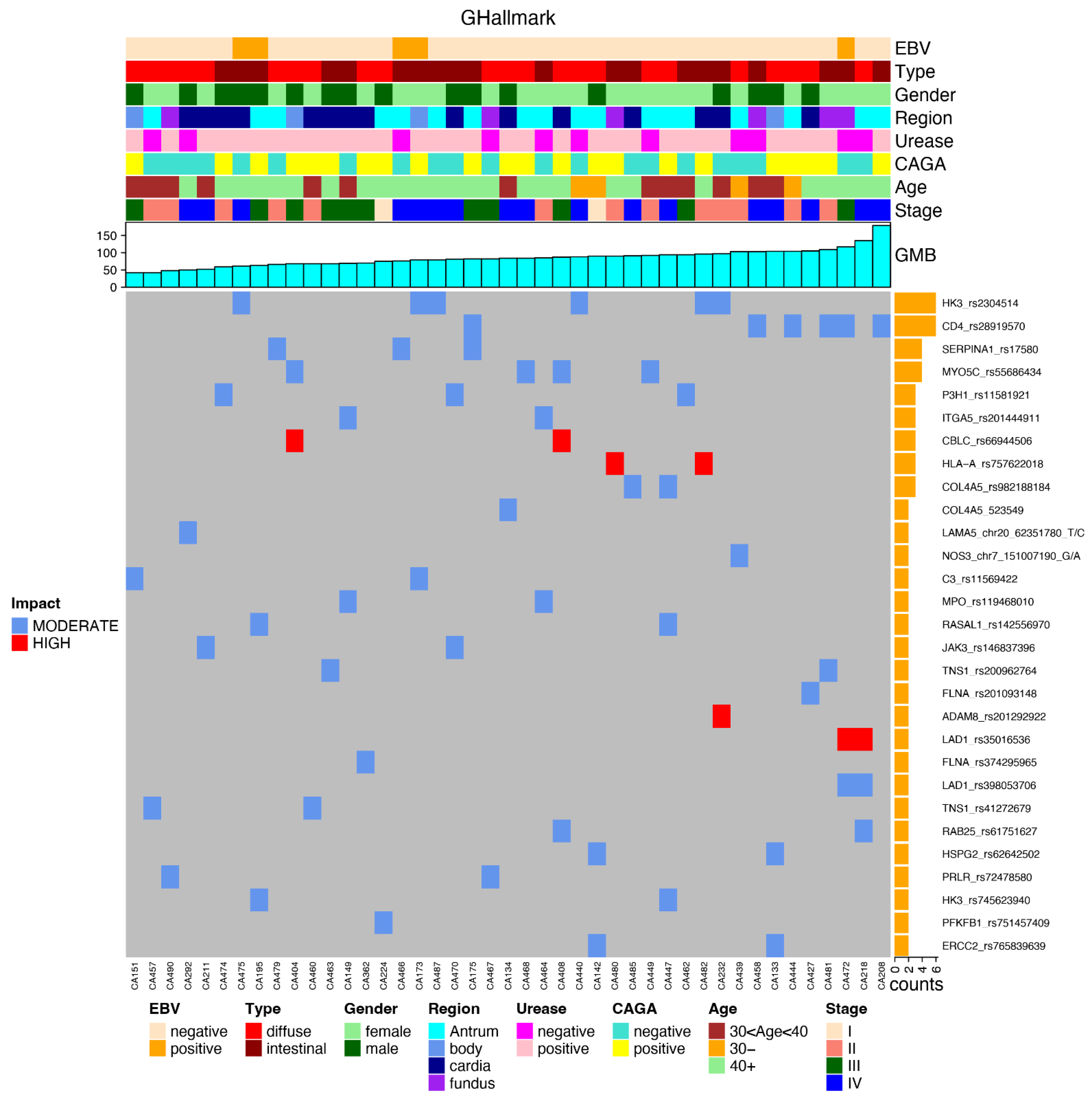 Cancers 14 06125 g007 Cancers 14 06125 g007