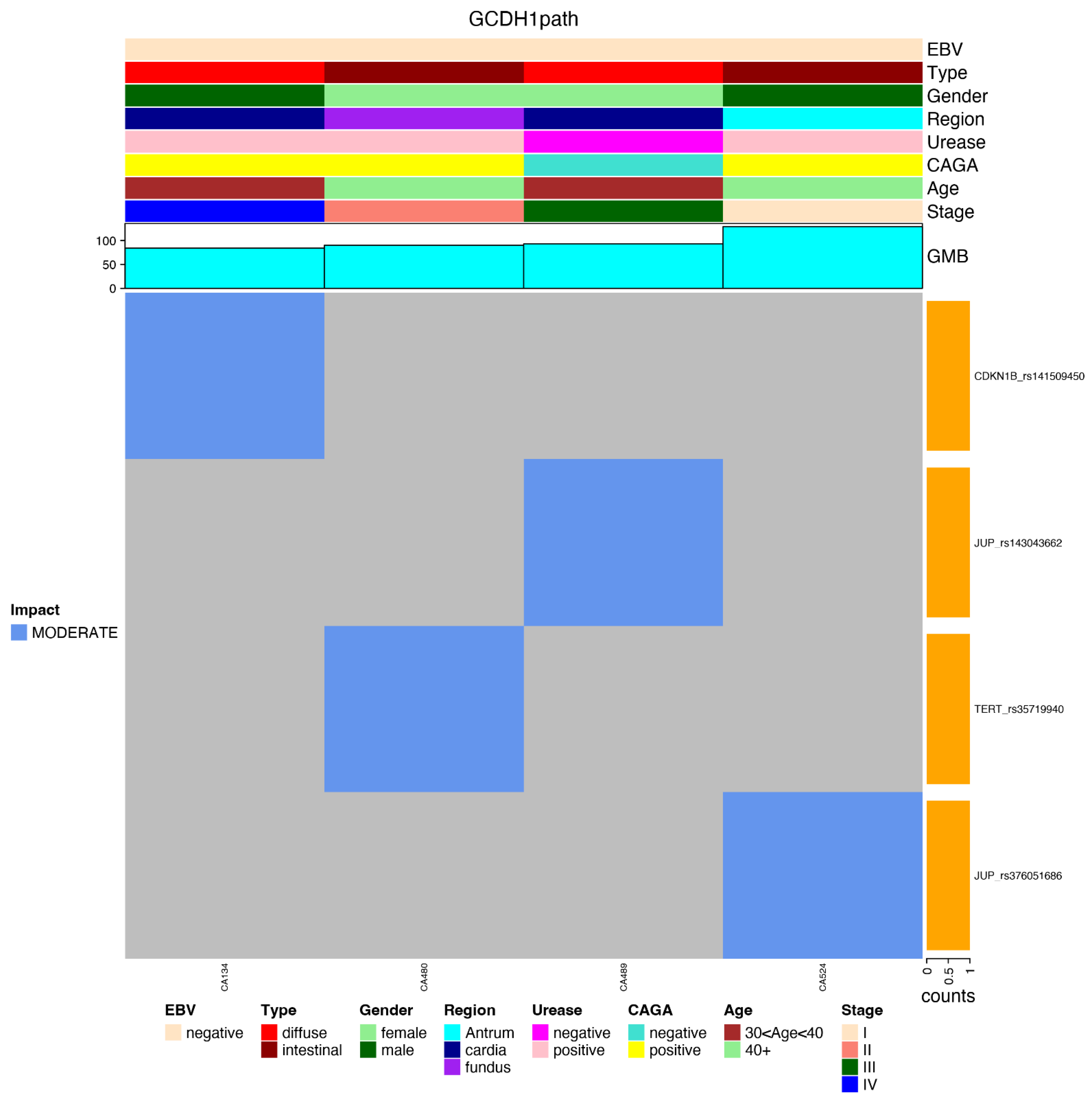 Cancers 14 06125 g009 Cancers 14 06125 g009