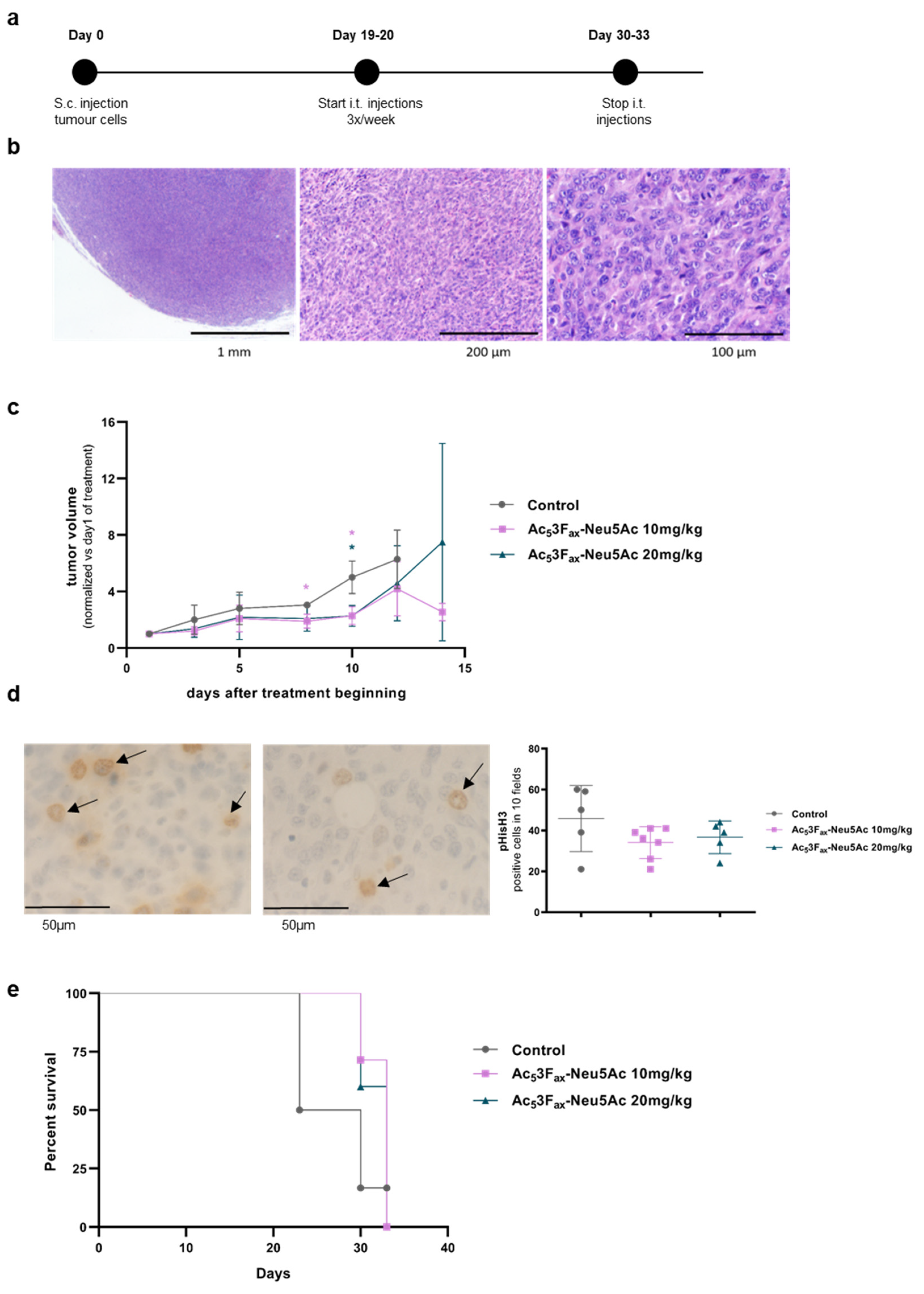 Cancers 14 06133 g005 Cancers 14 06133 g005