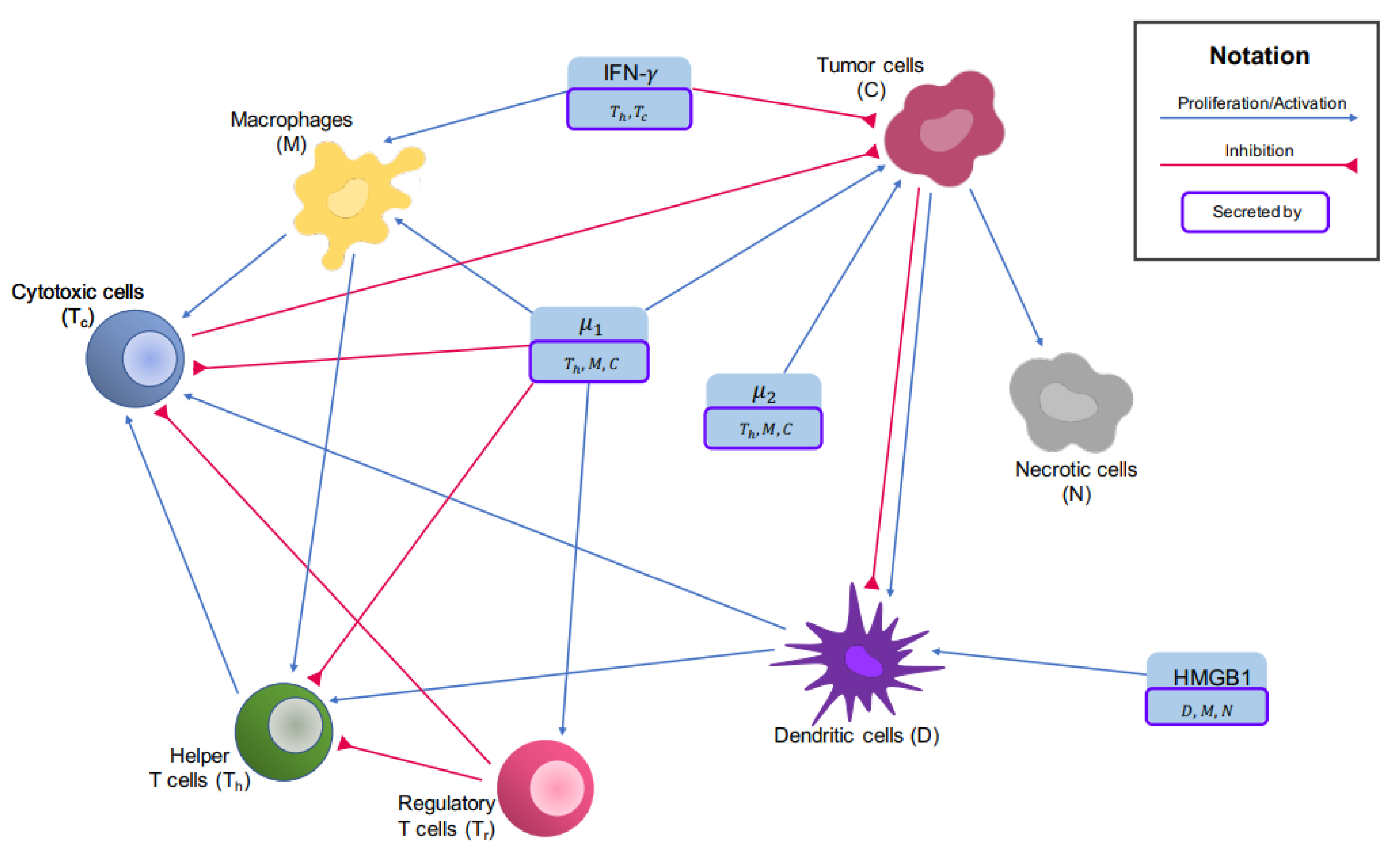 Cancers 14 06143 g001