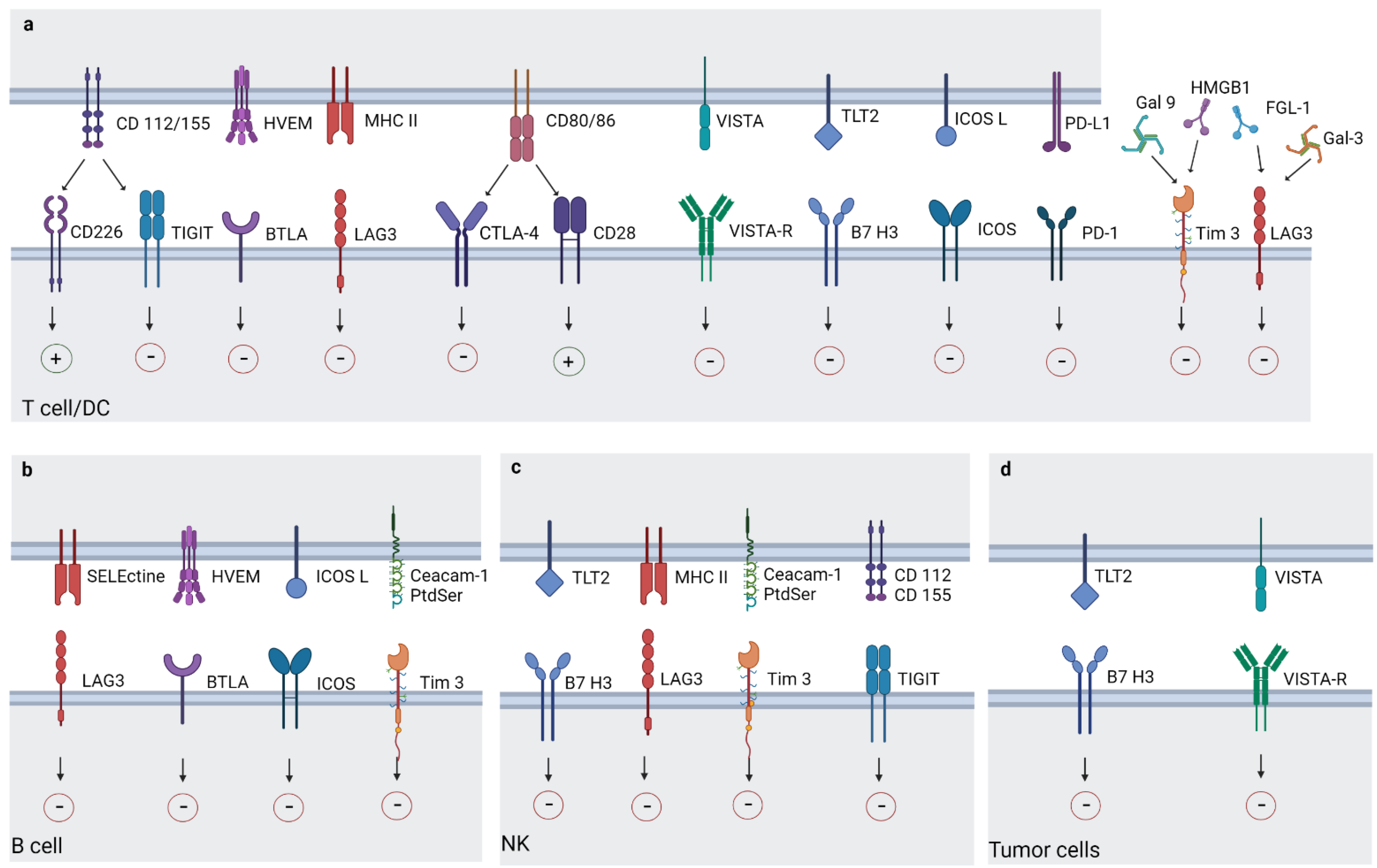Cancers 14 06145 g002 Cancers 14 06145 g002