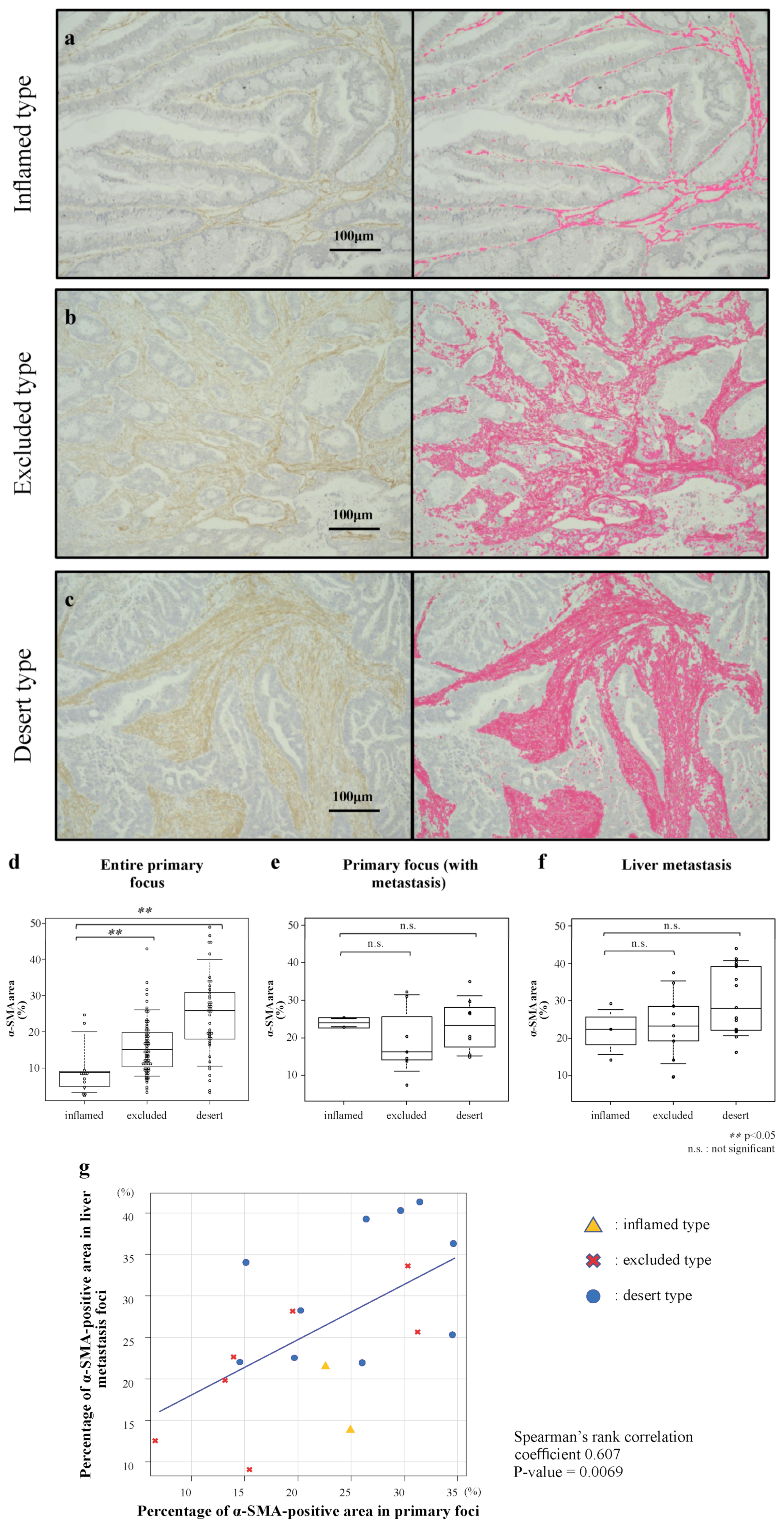 Cancers 14 06146 g001 Cancers 14 06146 g001