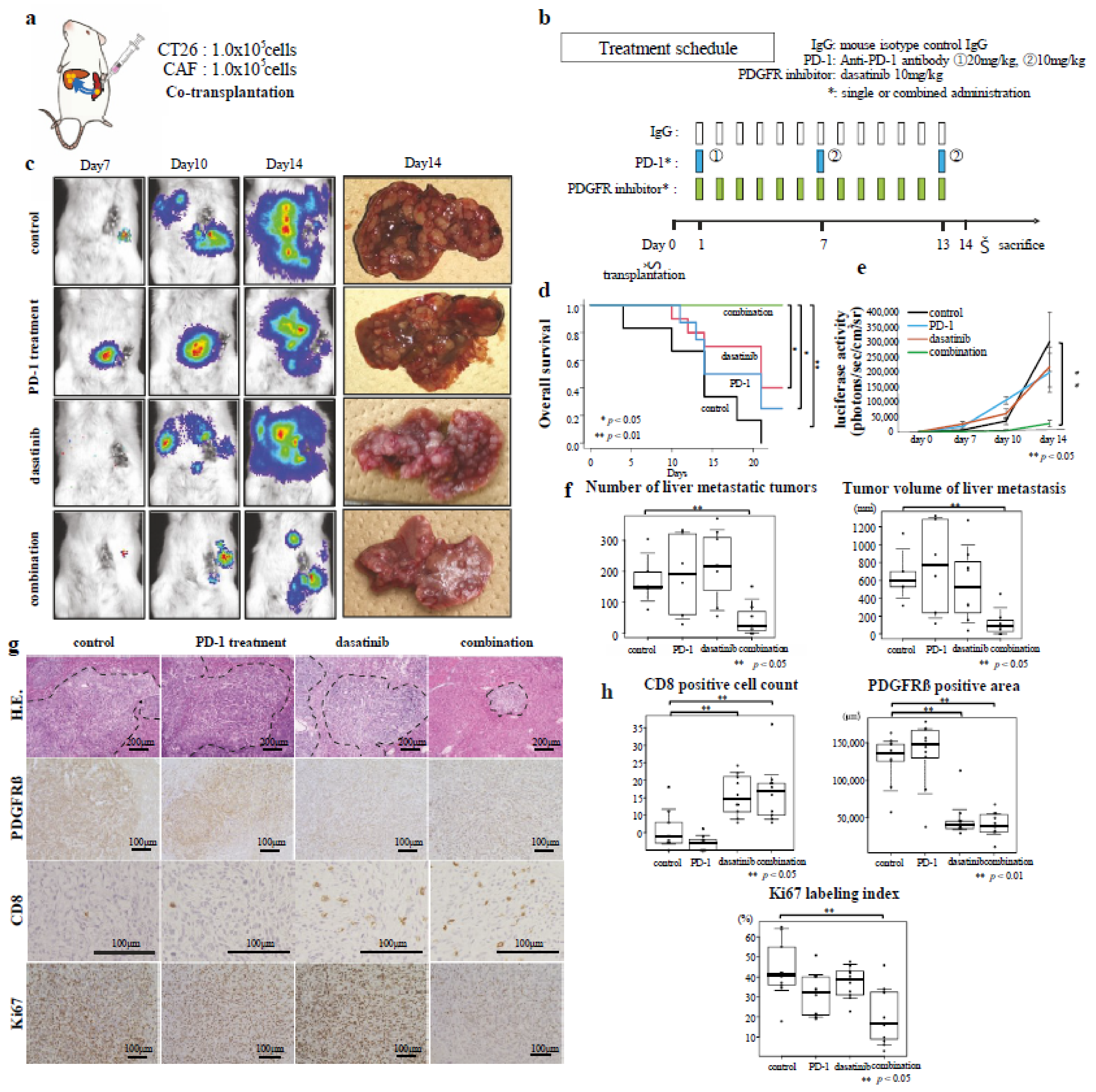Cancers 14 06146 g003 Cancers 14 06146 g003