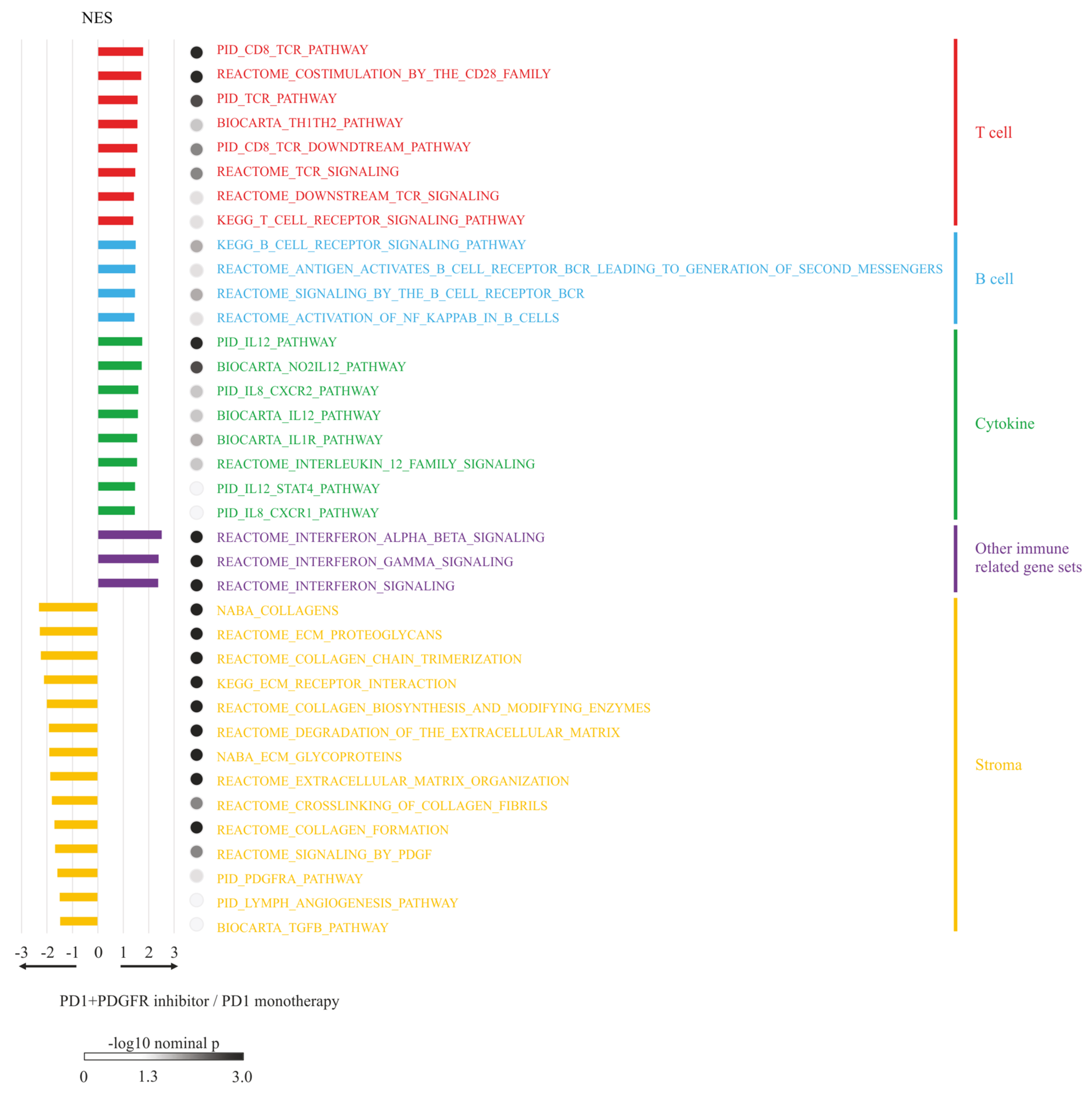 Cancers 14 06146 g004 Cancers 14 06146 g004