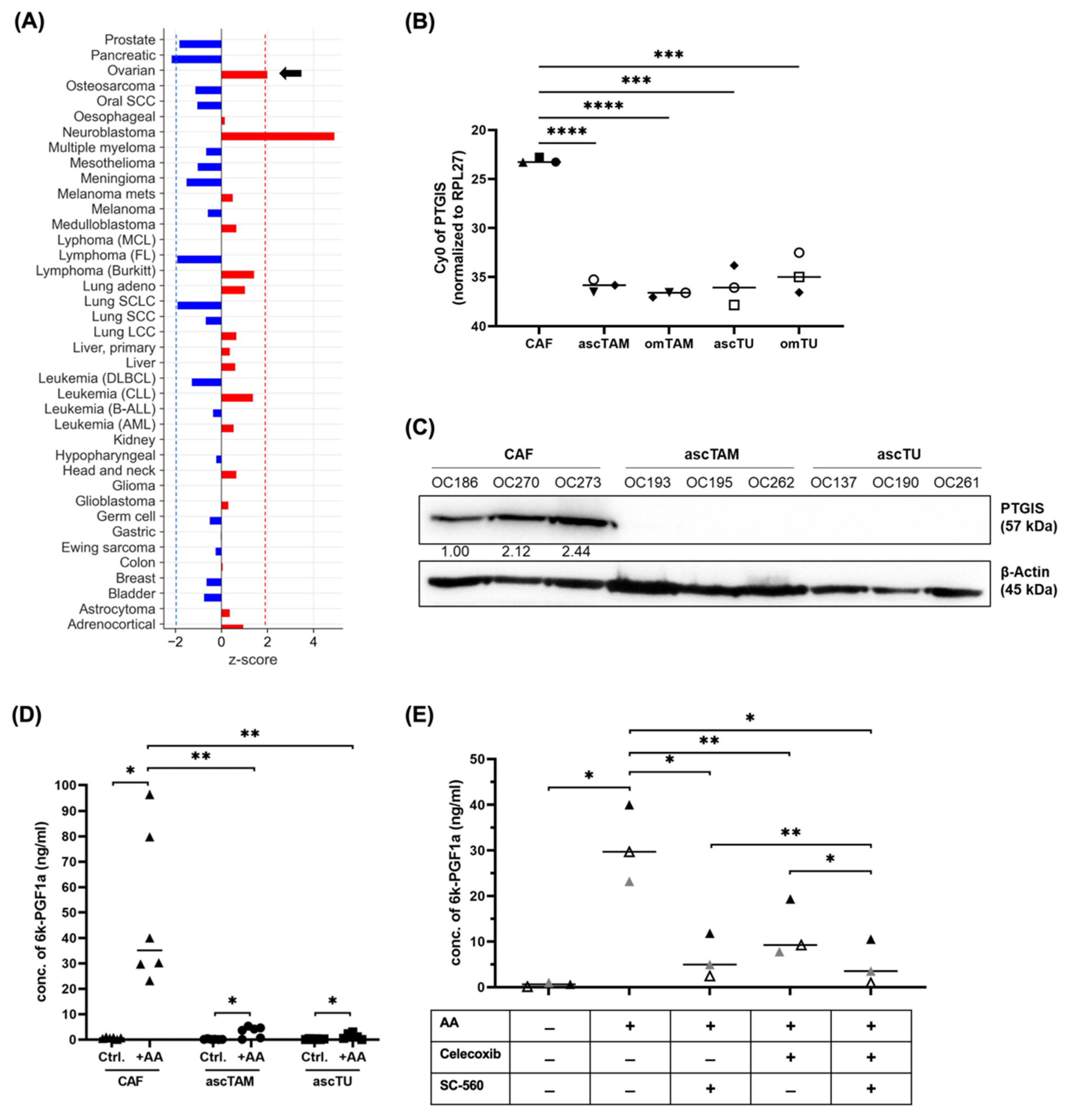 Cancers 14 06154 g002 Cancers 14 06154 g002