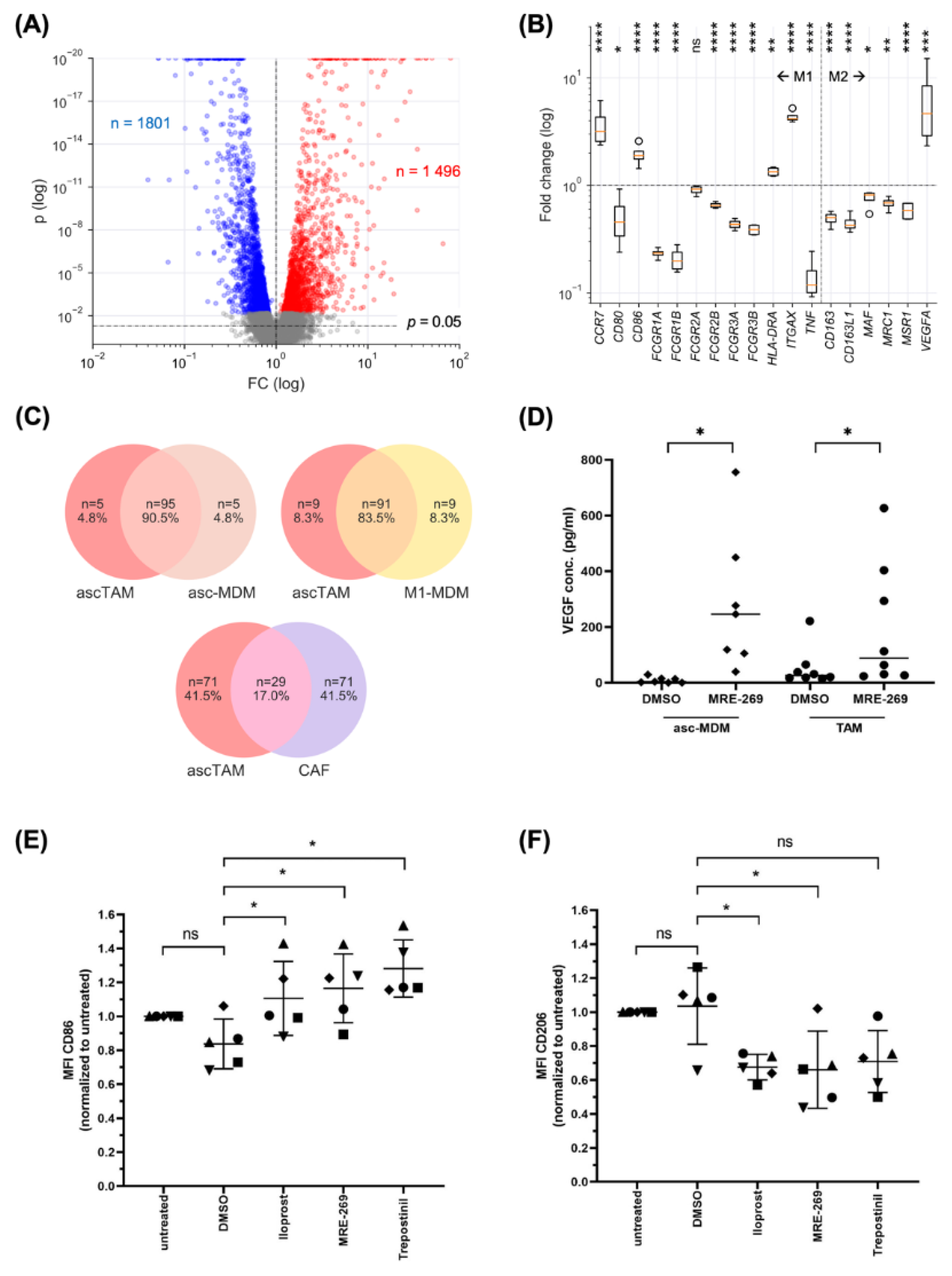 Cancers 14 06154 g004 Cancers 14 06154 g004