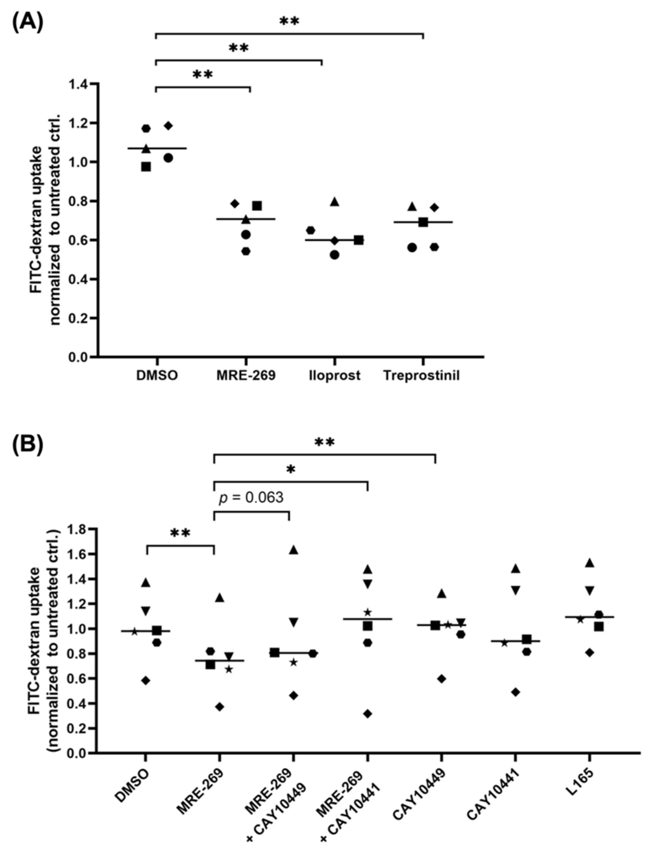 Cancers 14 06154 g006 Cancers 14 06154 g006