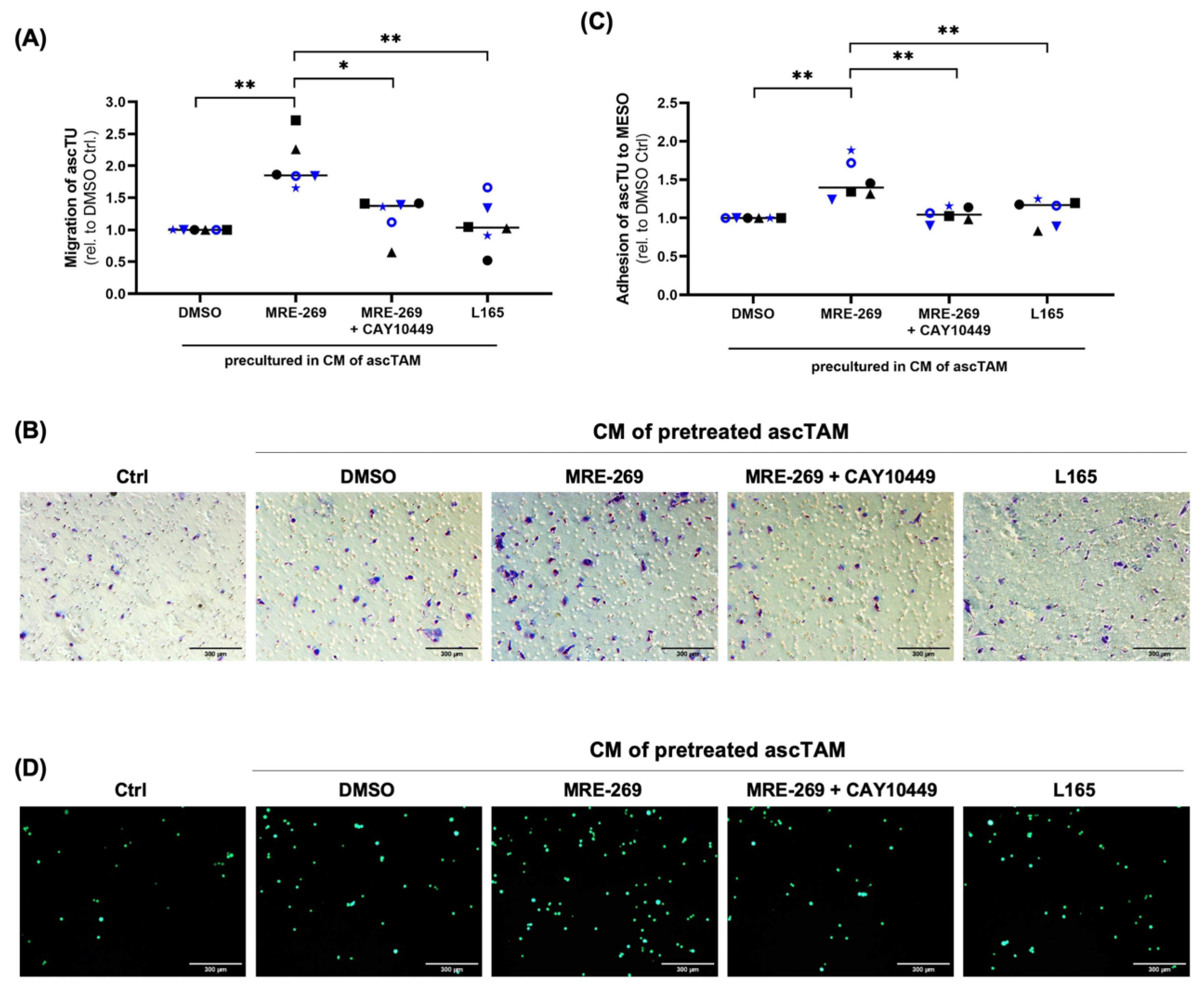 Cancers 14 06154 g007 Cancers 14 06154 g007