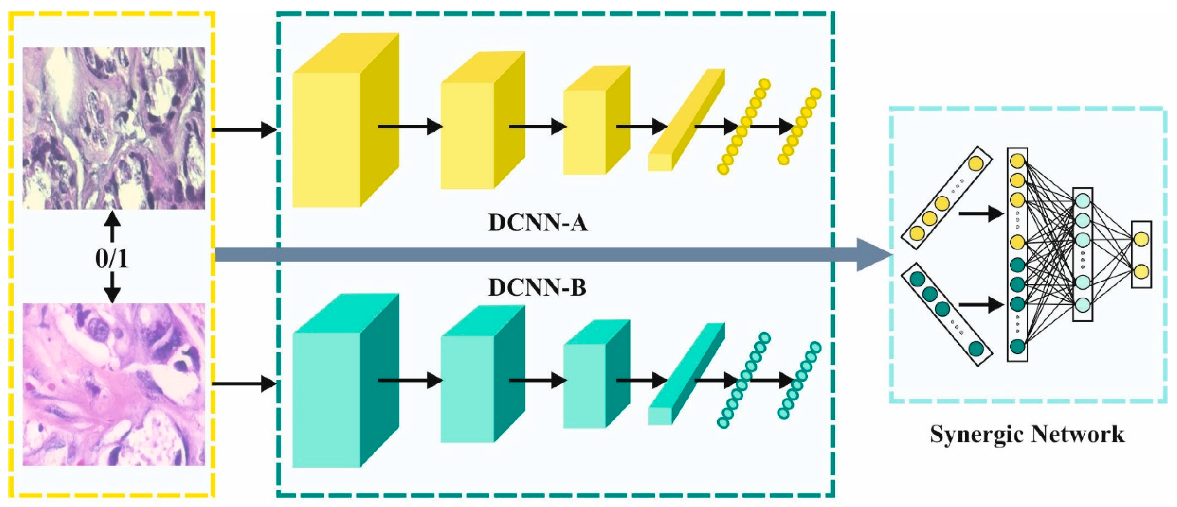 Cancers 14 06159 g002