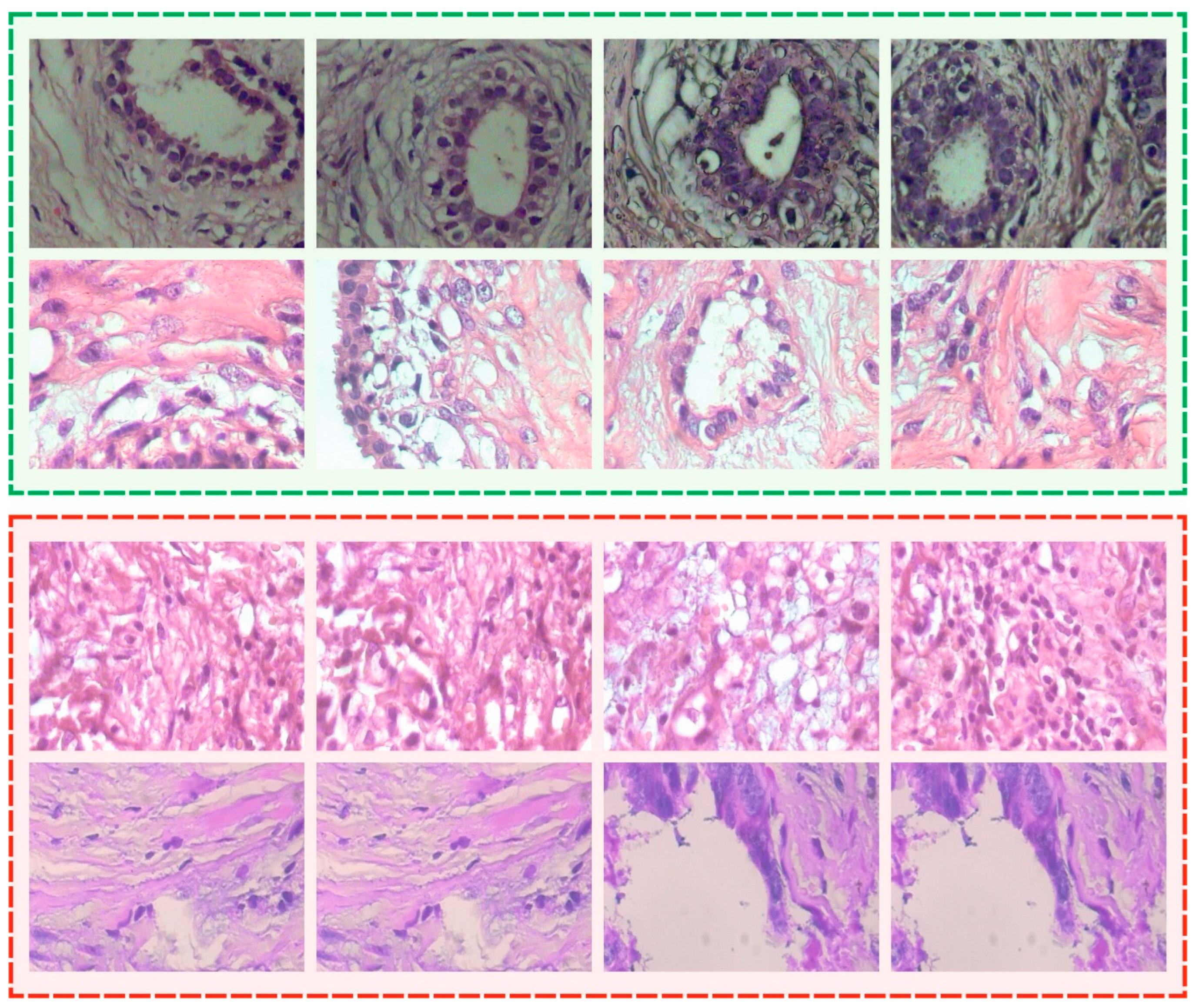 Cancers 14 06159 g003