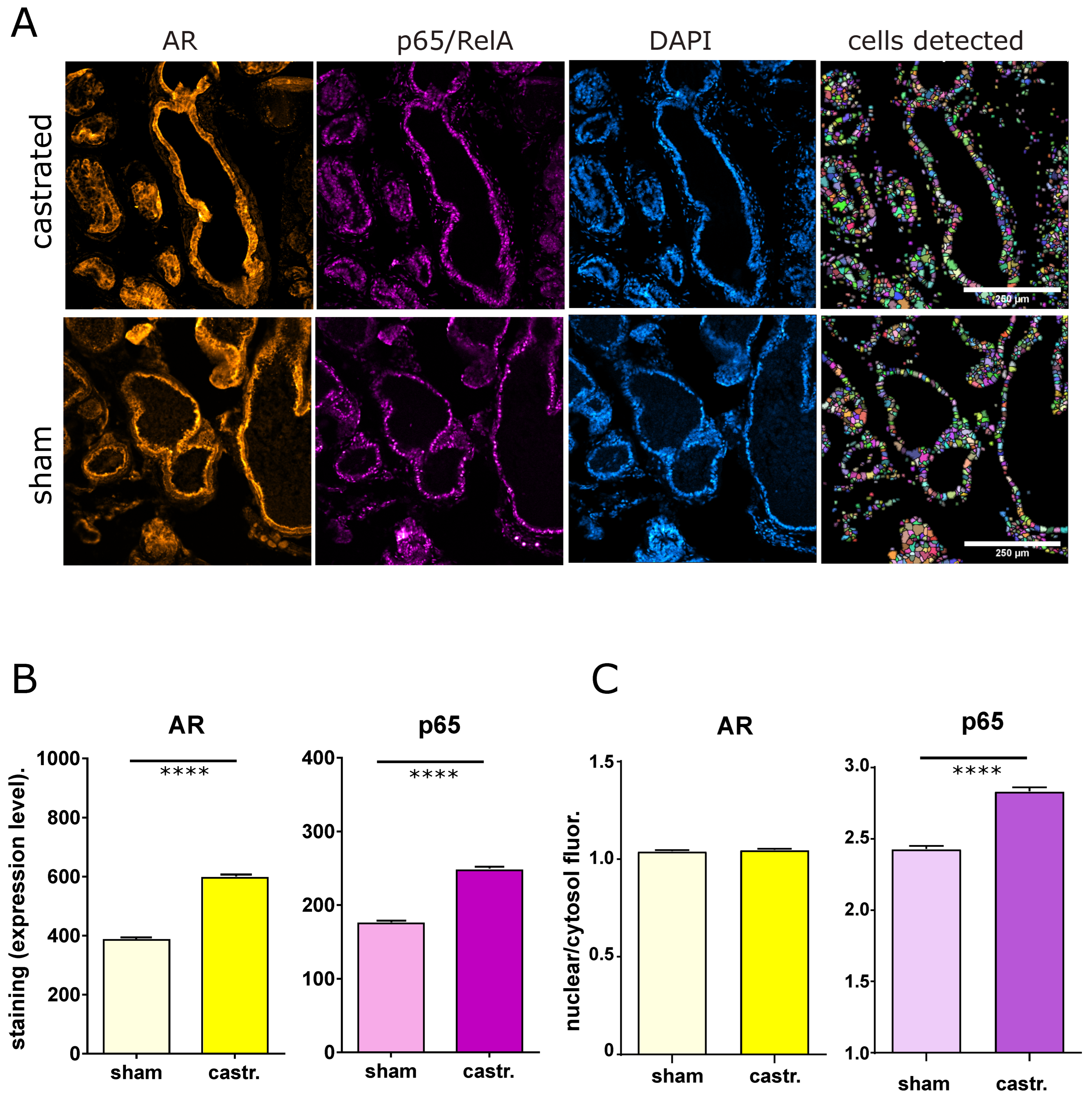 Cancers 14 06164 g005