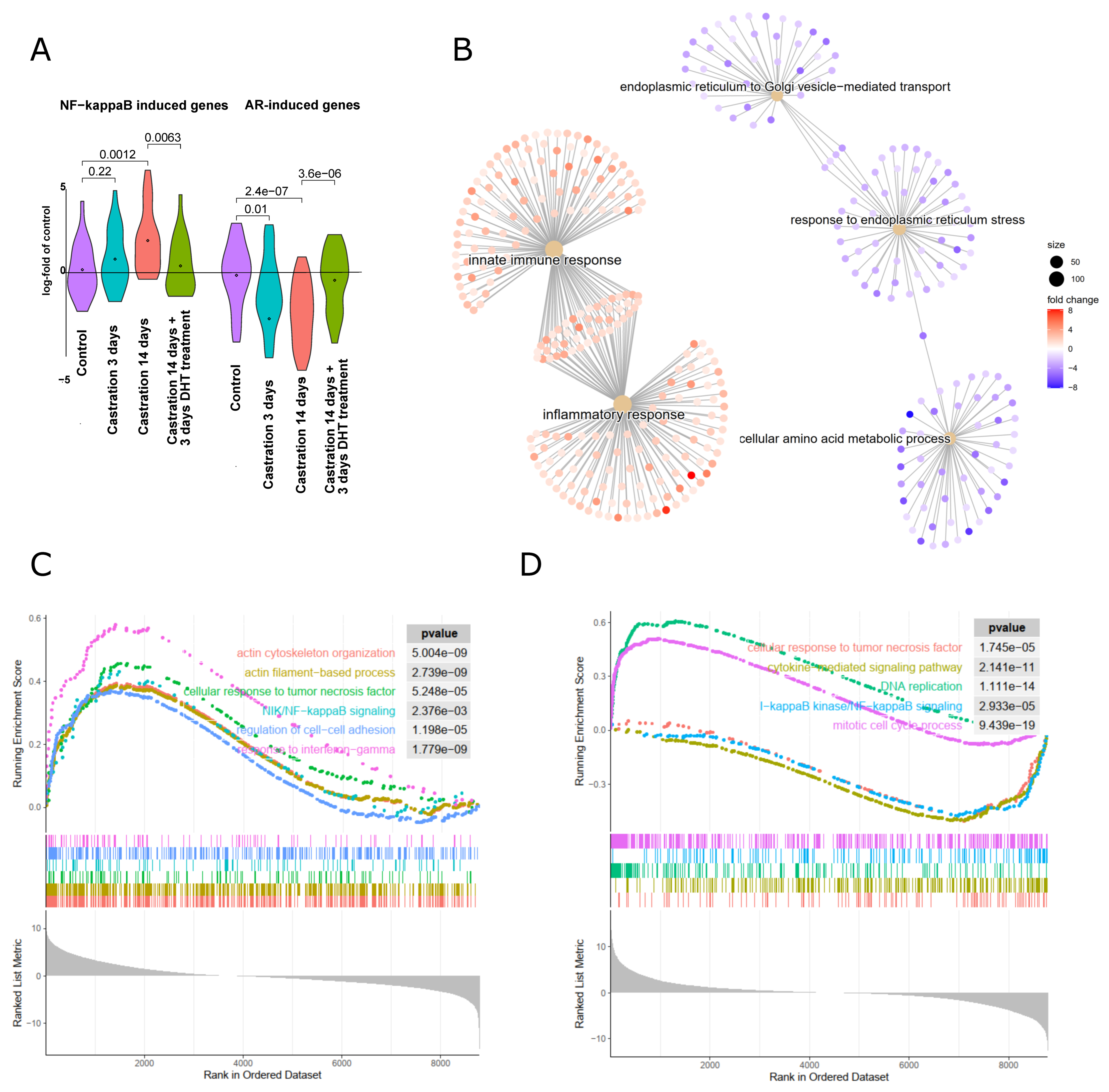 Cancers 14 06164 g006