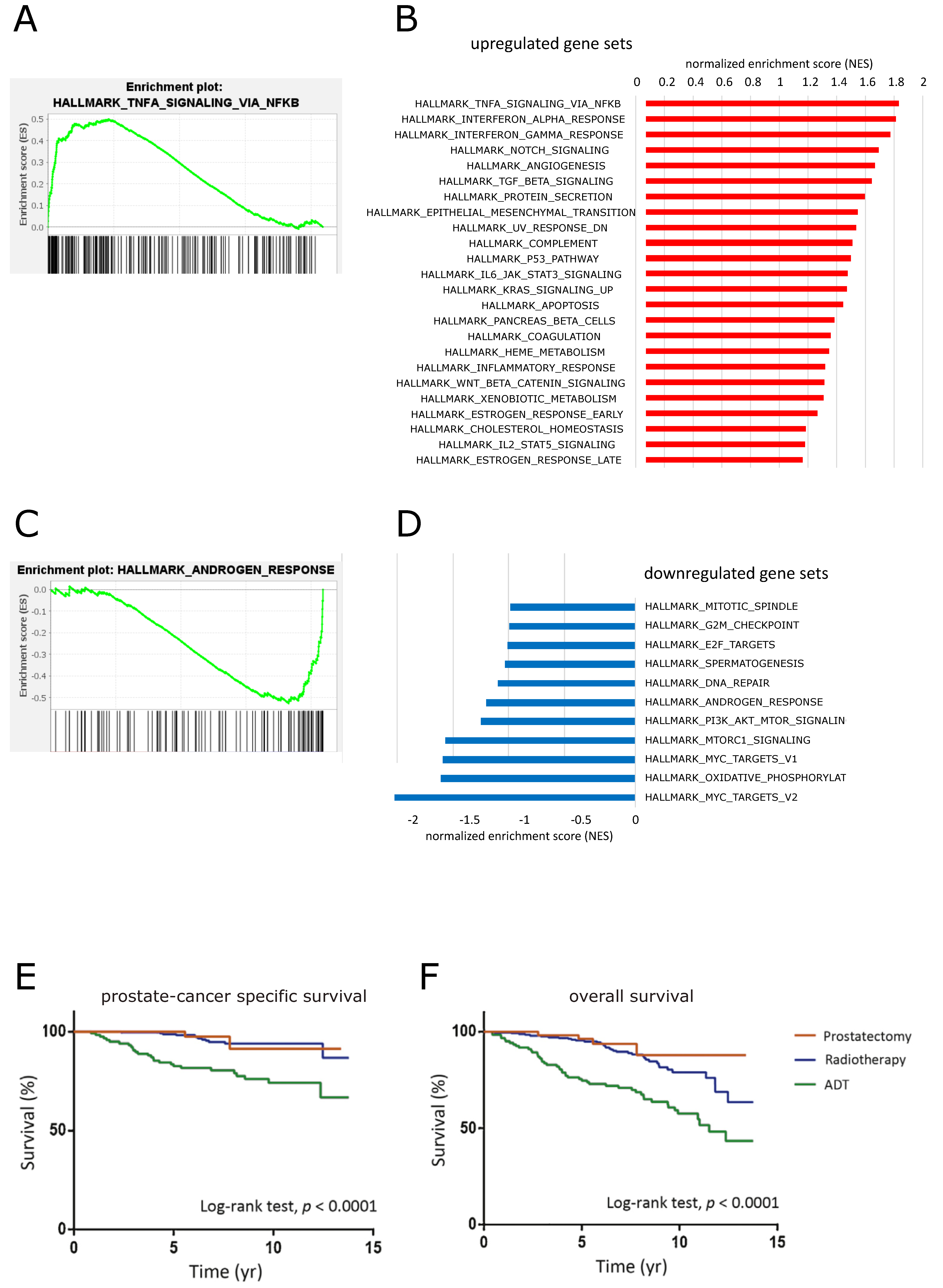 Cancers 14 06164 g007