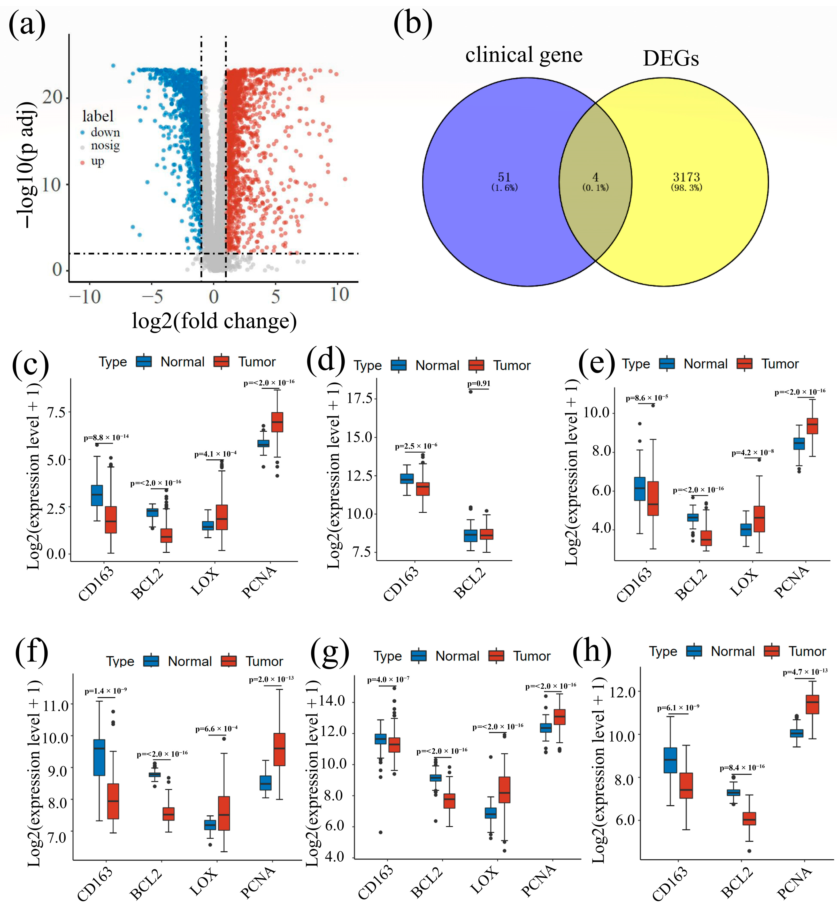 Cancers 14 06166 g003 Cancers 14 06166 g003