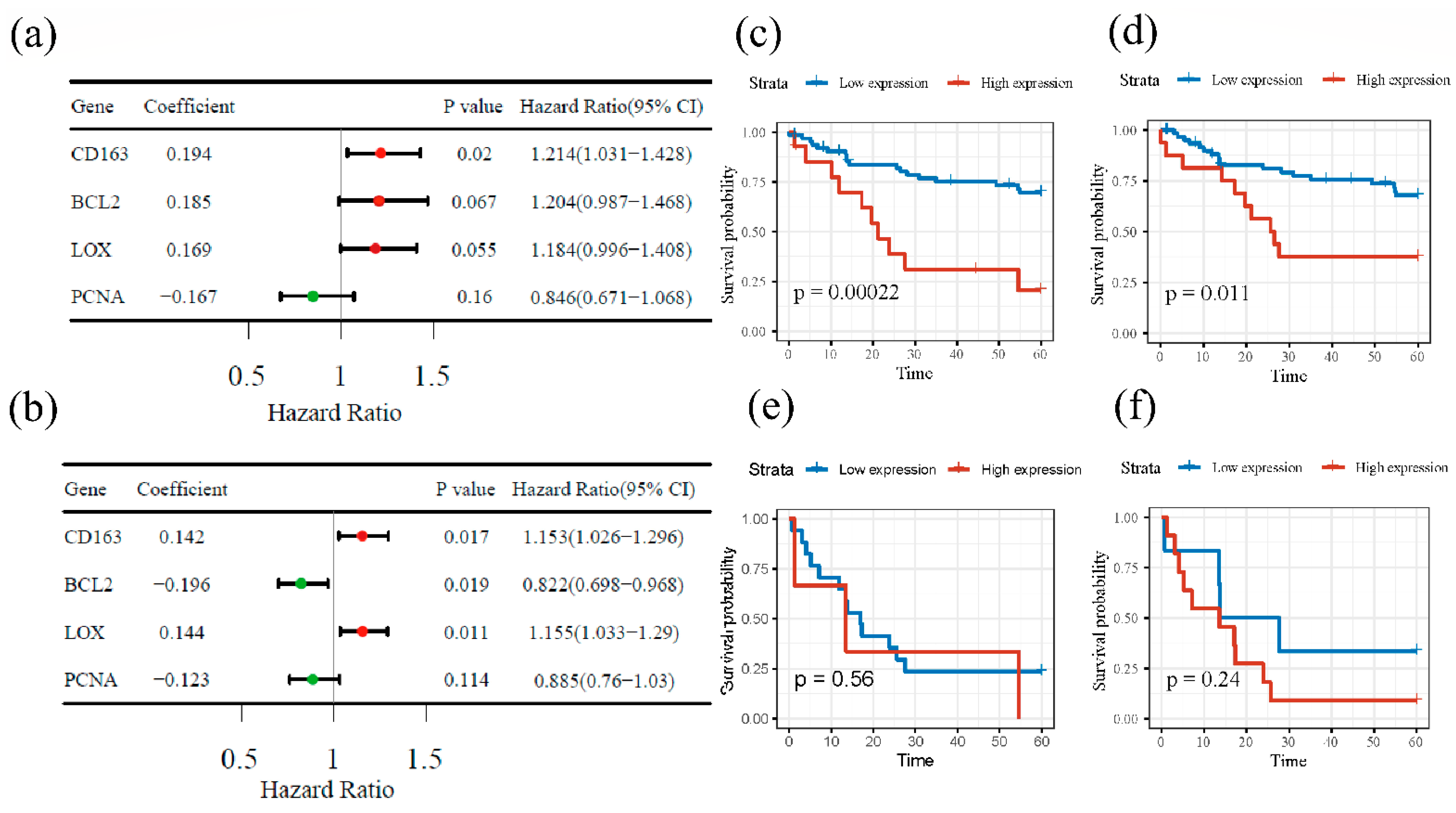 Cancers 14 06166 g004 Cancers 14 06166 g004