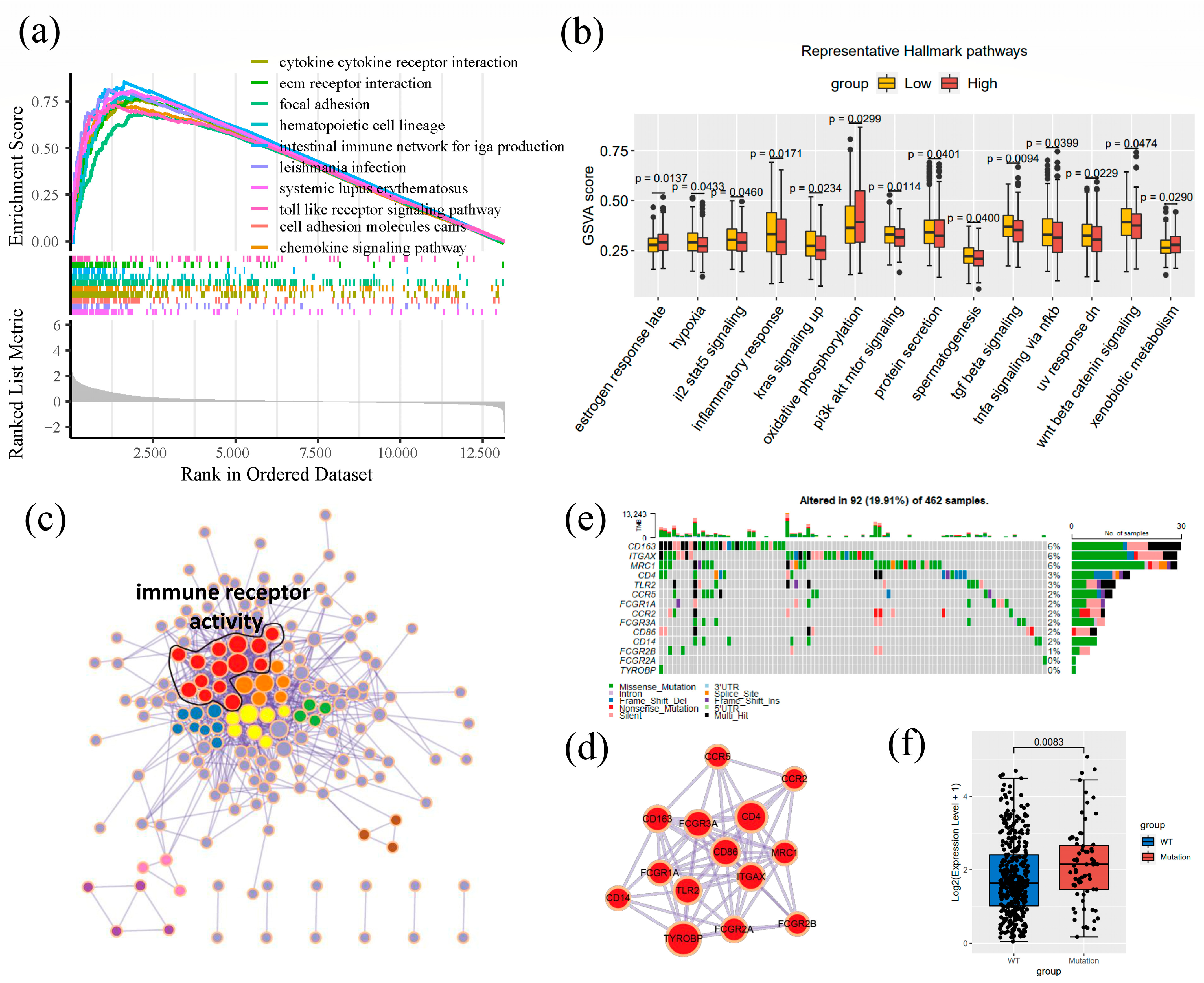 Cancers 14 06166 g006 Cancers 14 06166 g006