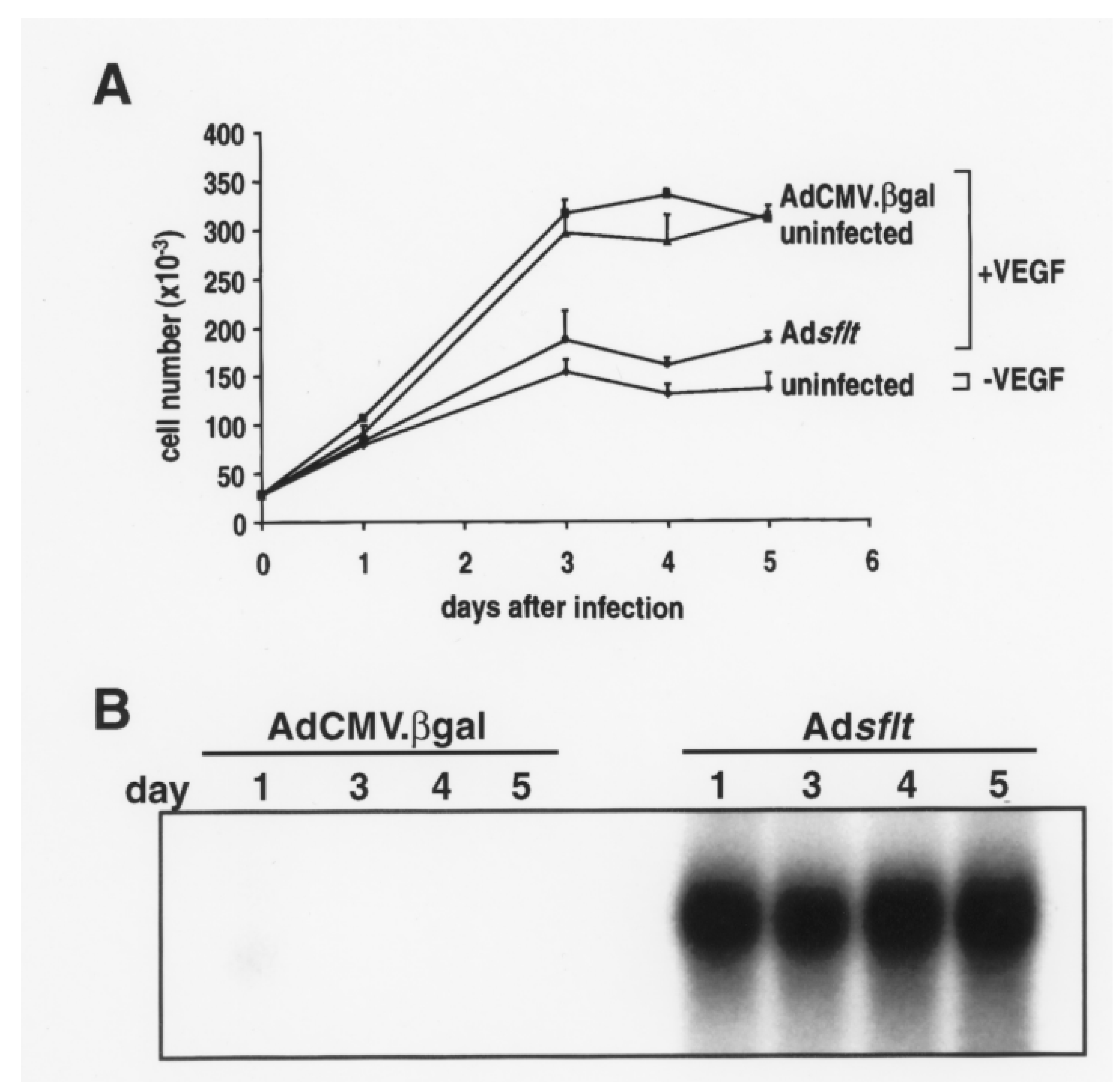 Cancers 14 06175 g001 Cancers 14 06175 g001