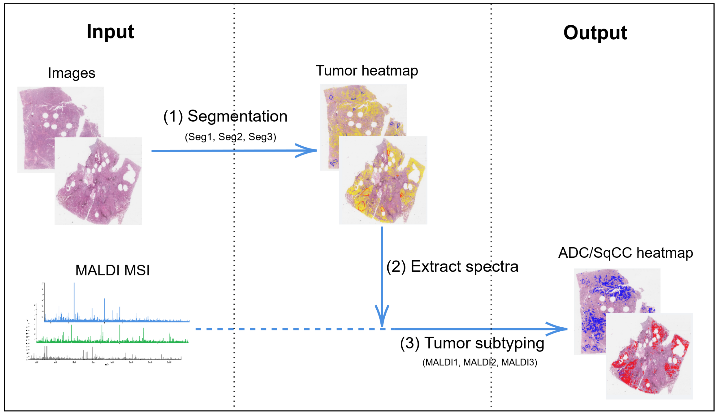 Cancers 14 06181 g001 Cancers 14 06181 g001