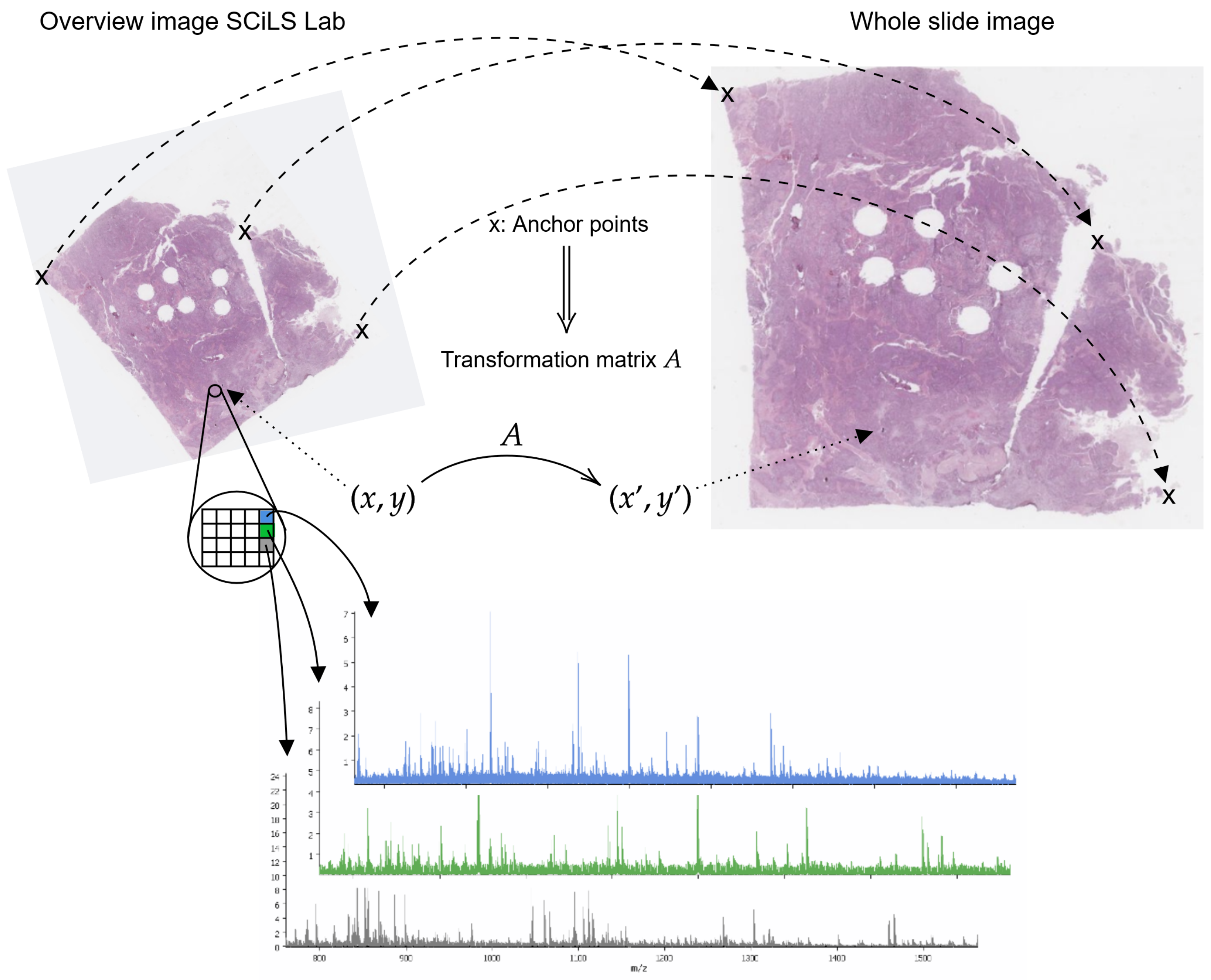 Cancers 14 06181 g0a3 Cancers 14 06181 g0a3