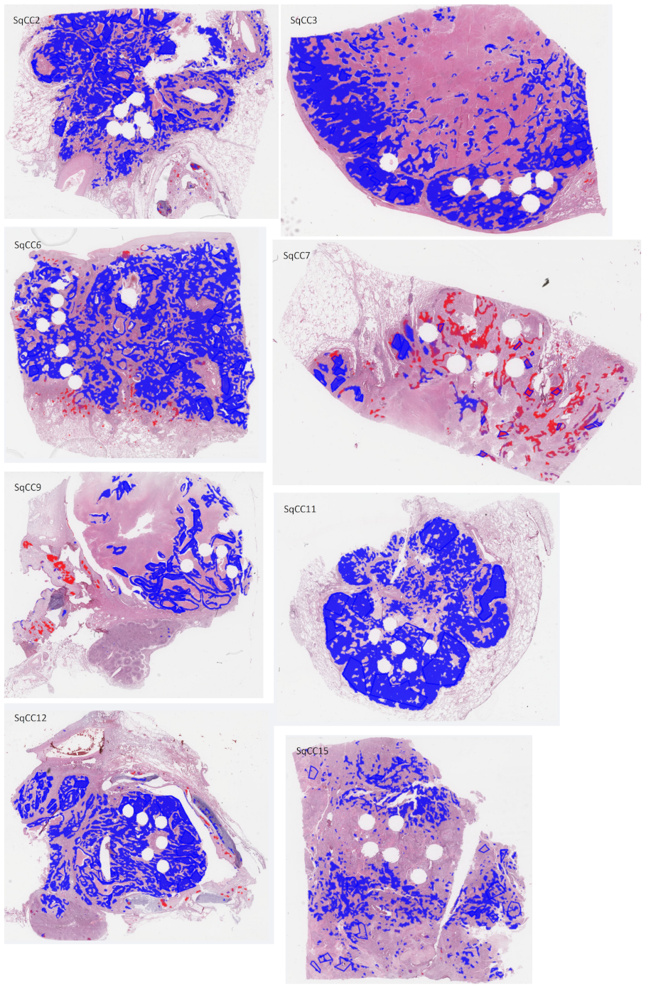 Cancers 14 06181 g0a4b Cancers 14 06181 g0a4b