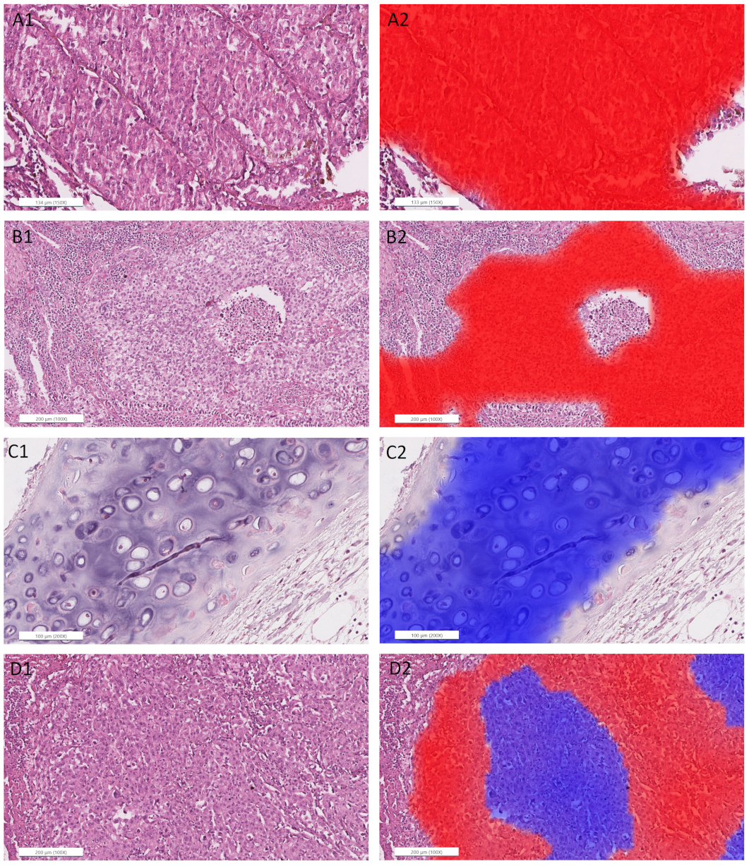 Cancers 14 06181 g0a5a Cancers 14 06181 g0a5a