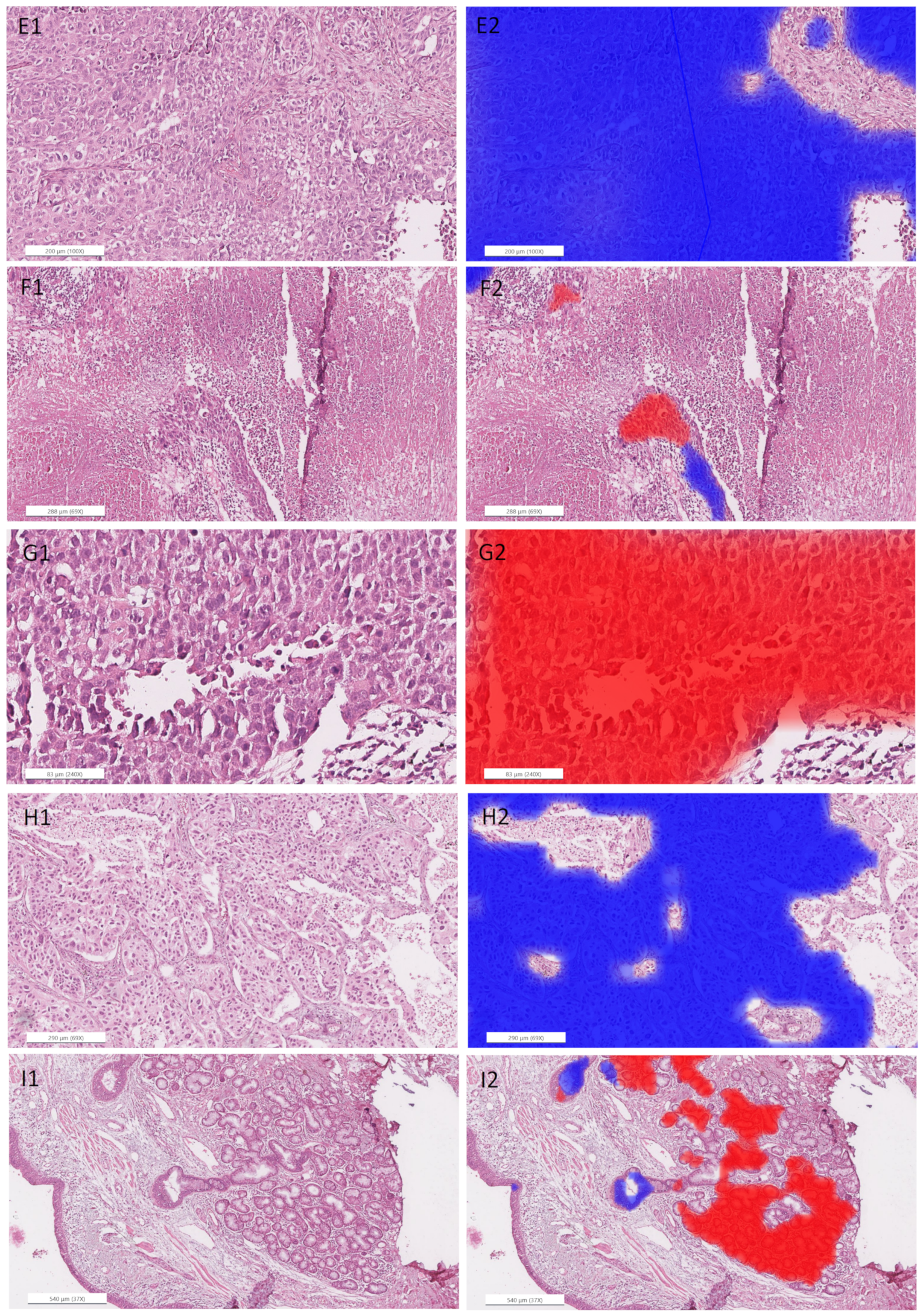 Cancers 14 06181 g0a5b Cancers 14 06181 g0a5b