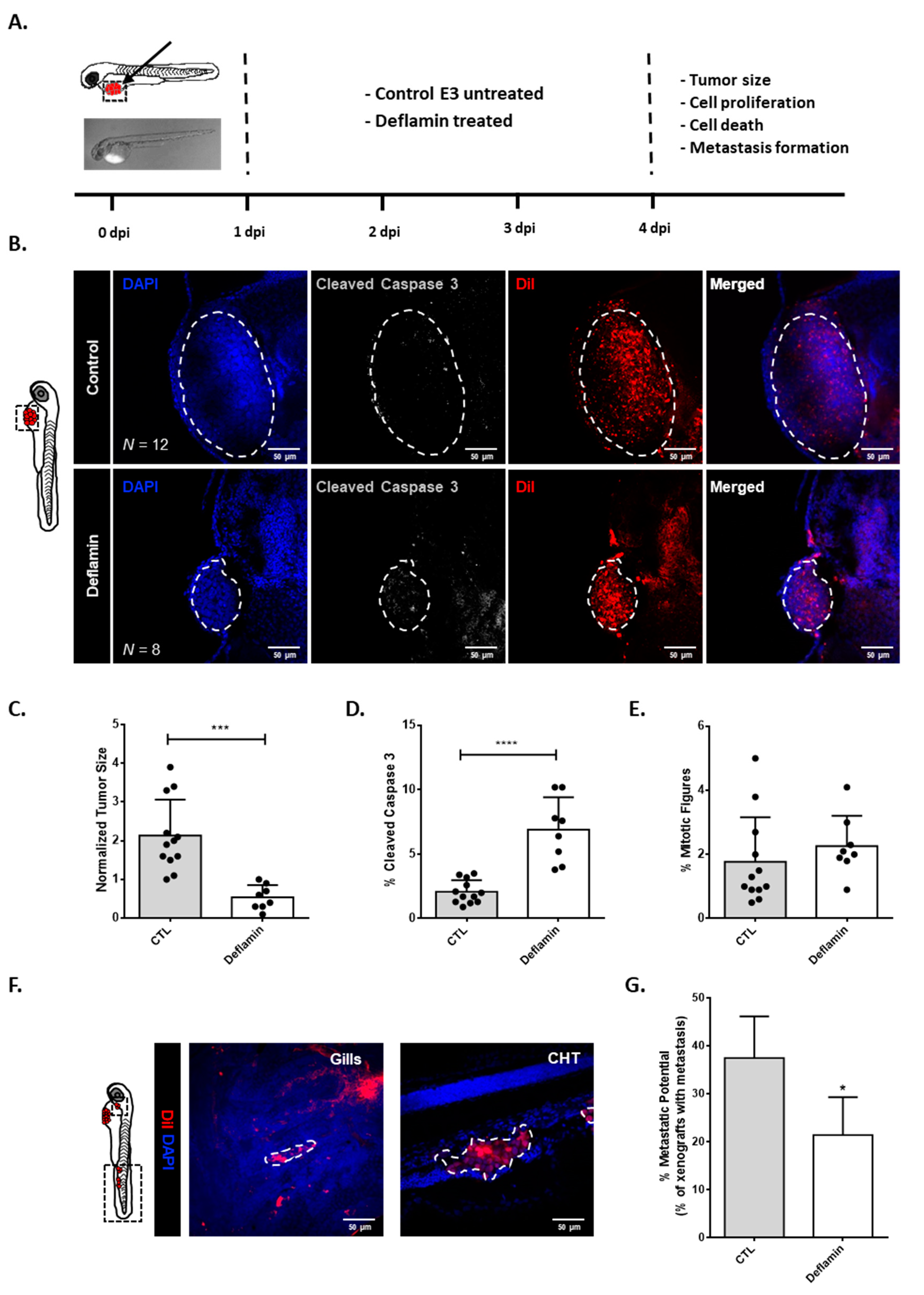 Cancers 14 06182 g001