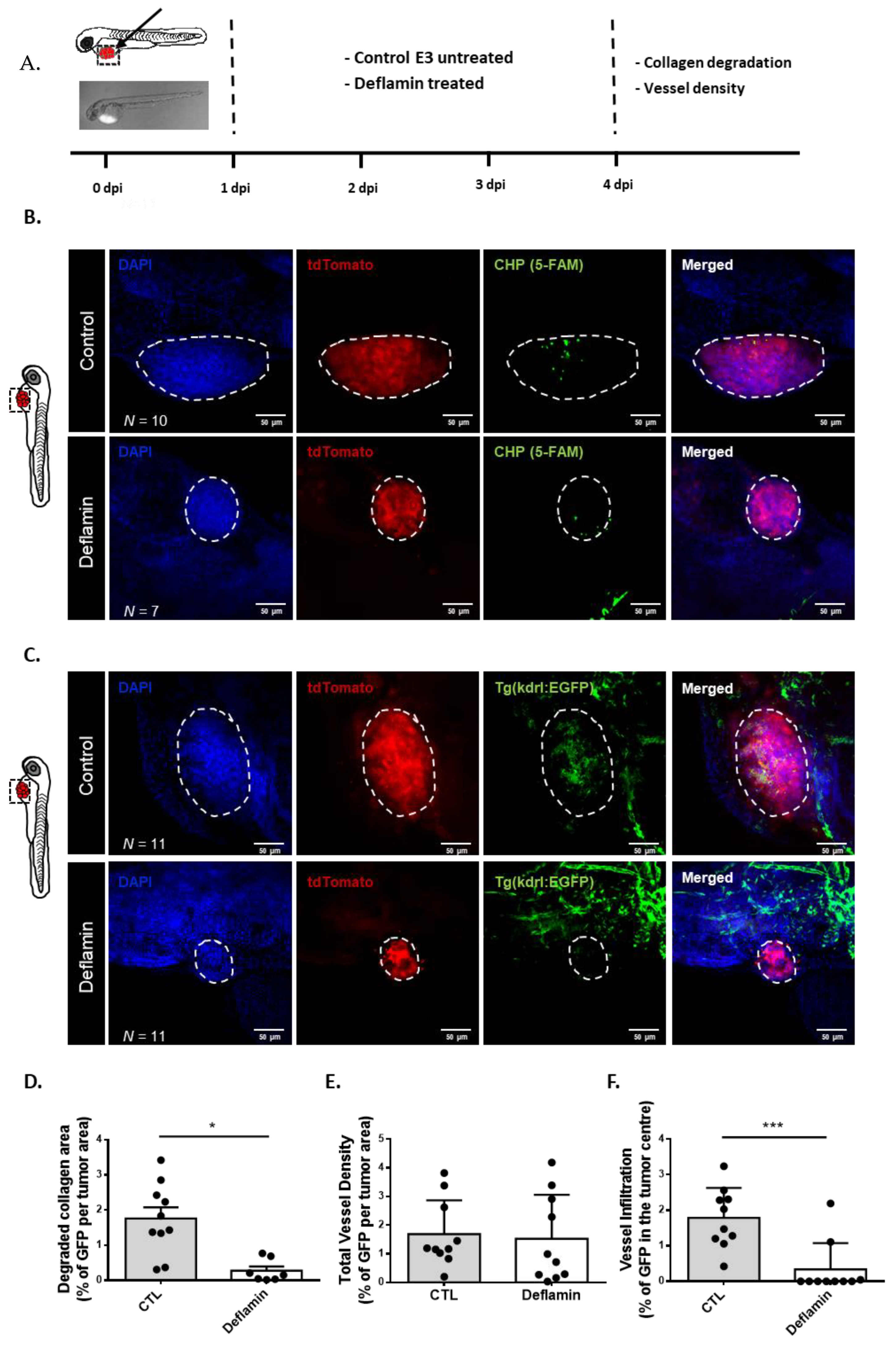 Cancers 14 06182 g004