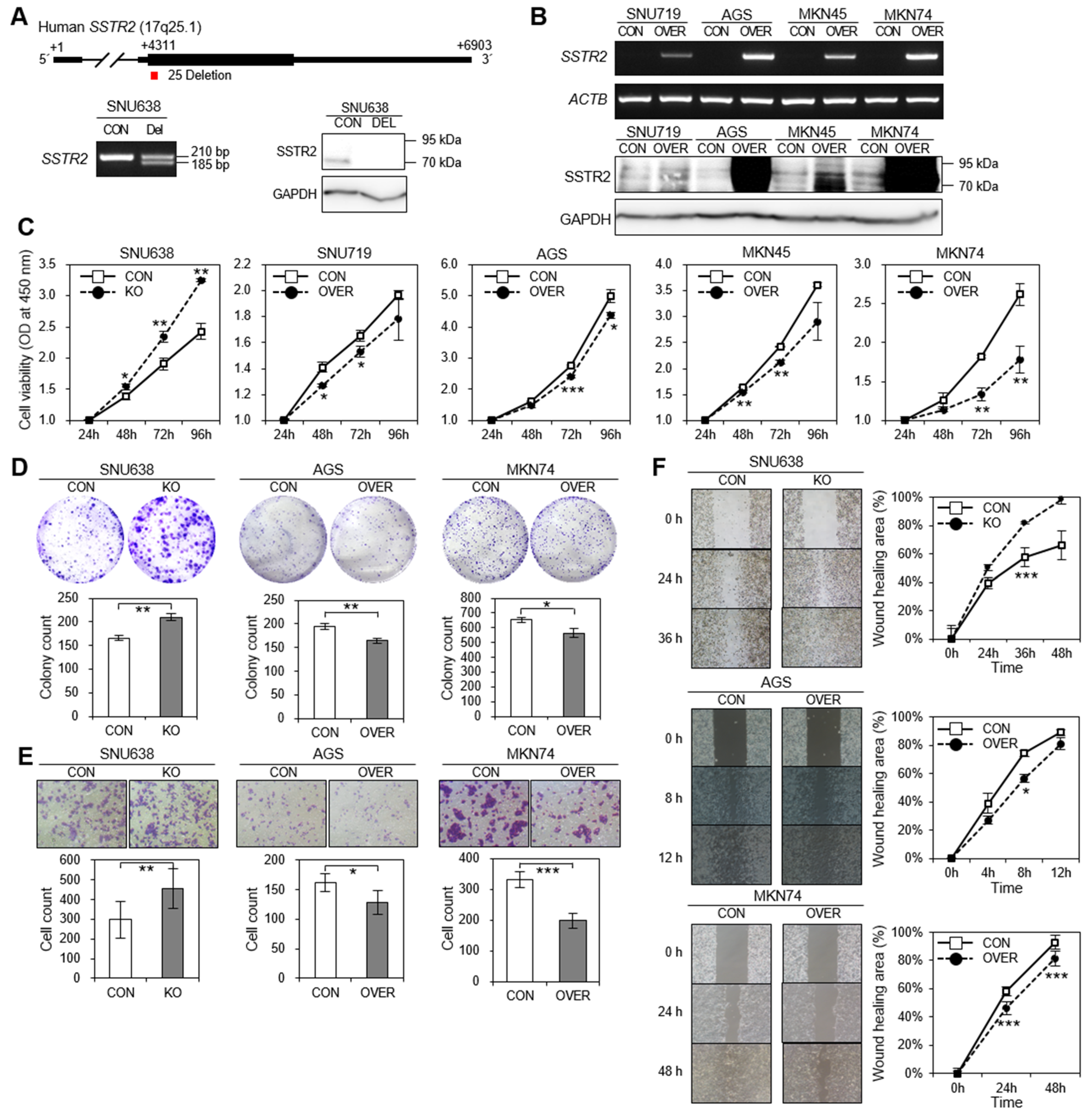 Cancers 14 06183 g004