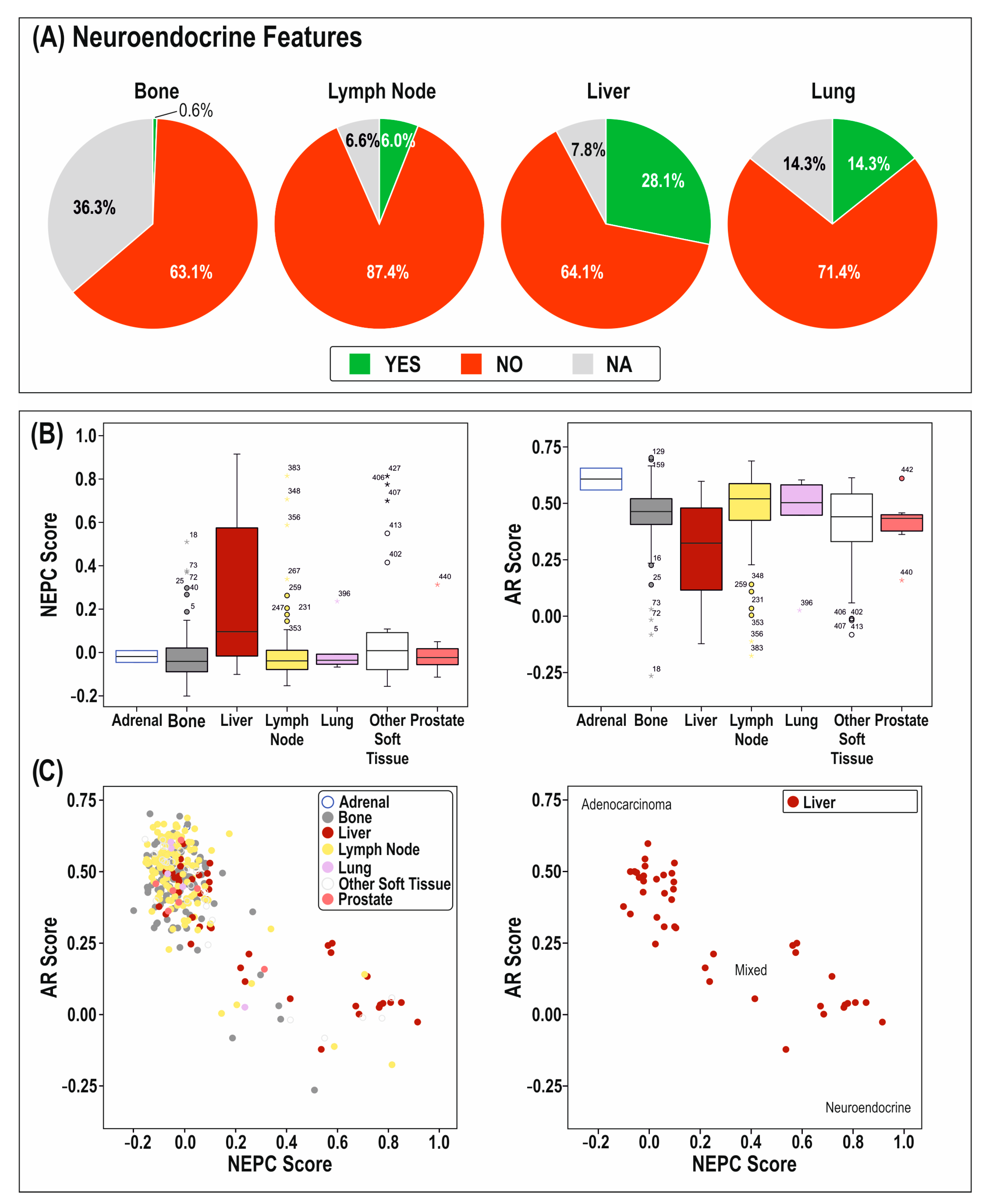 Cancers 14 06189 g002