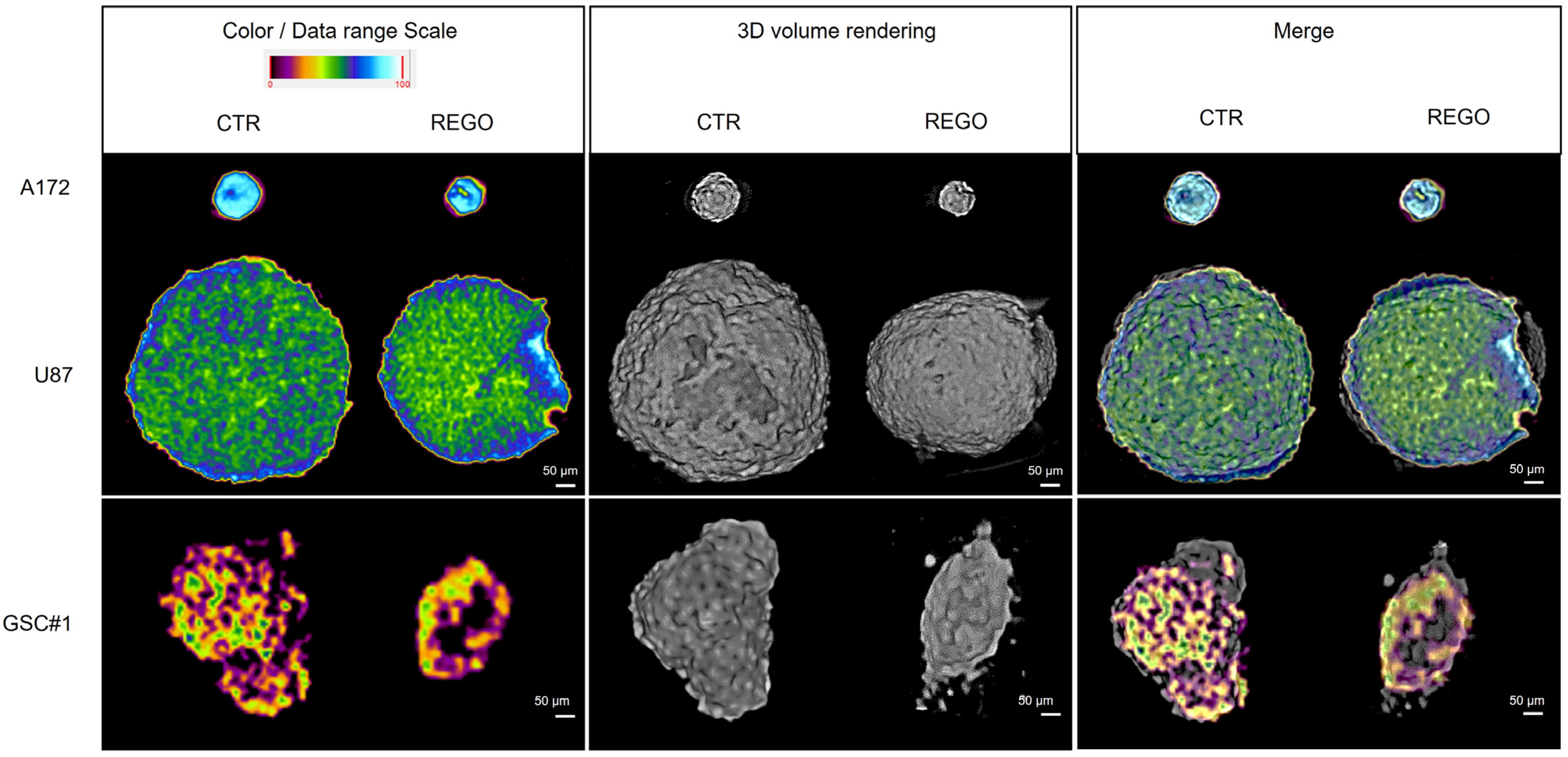 Cancers 14 06193 g007