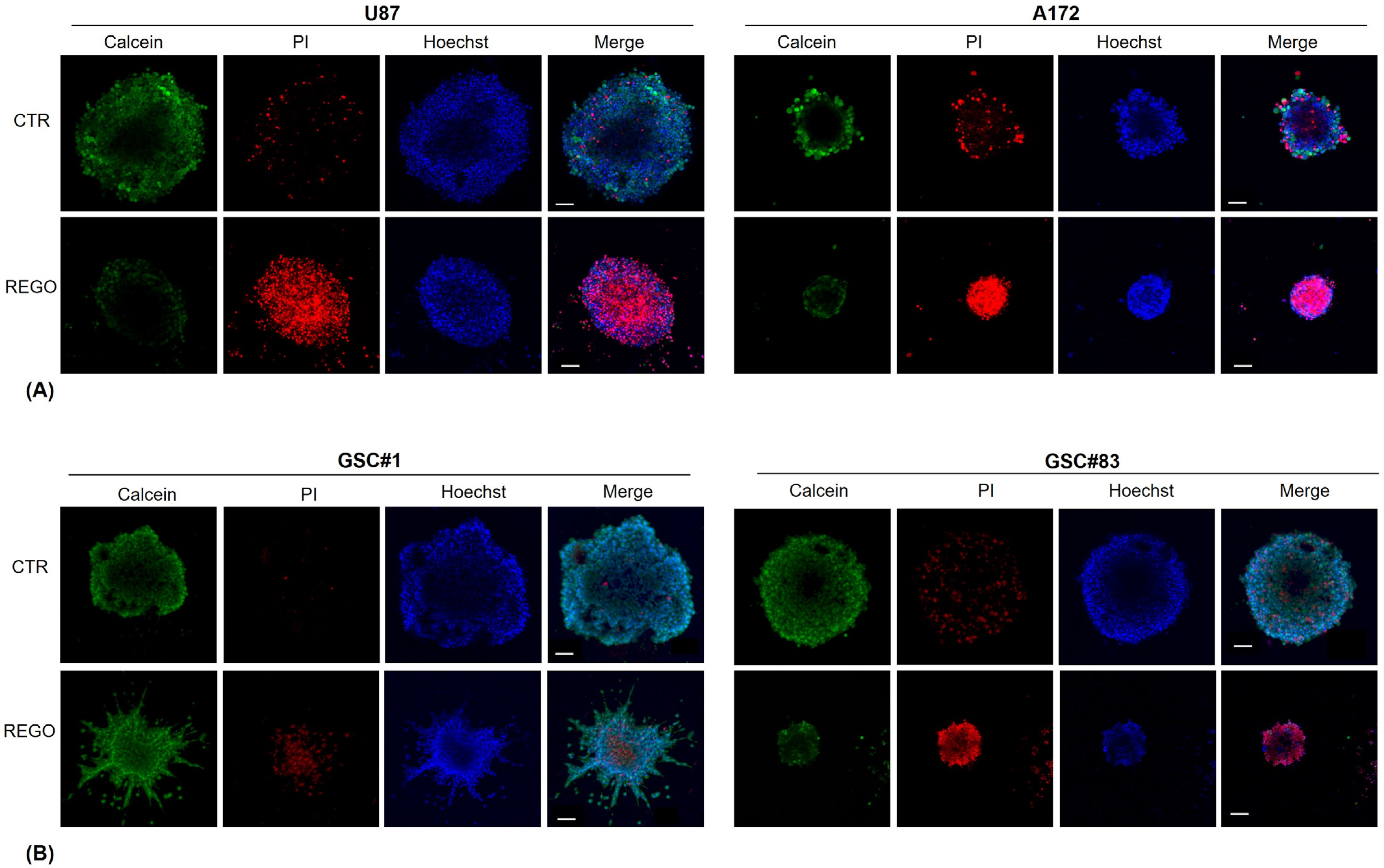 Cancers 14 06193 g008