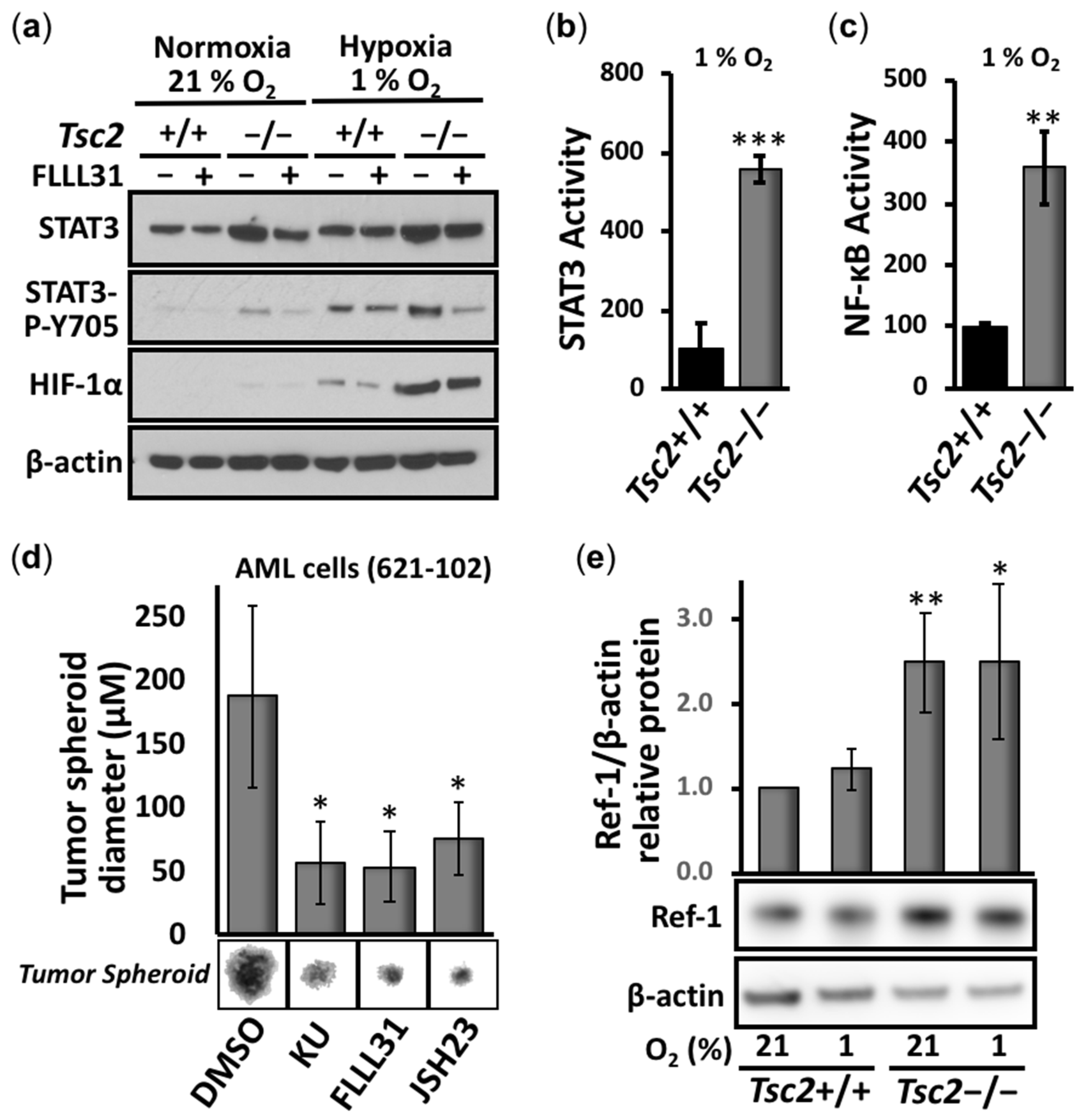 Cancers 14 06195 g001 Cancers 14 06195 g001