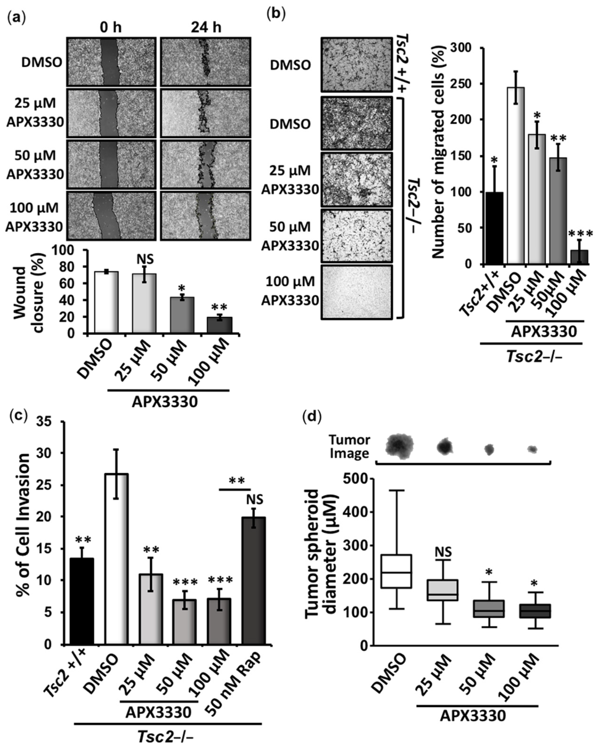 Cancers 14 06195 g004 Cancers 14 06195 g004