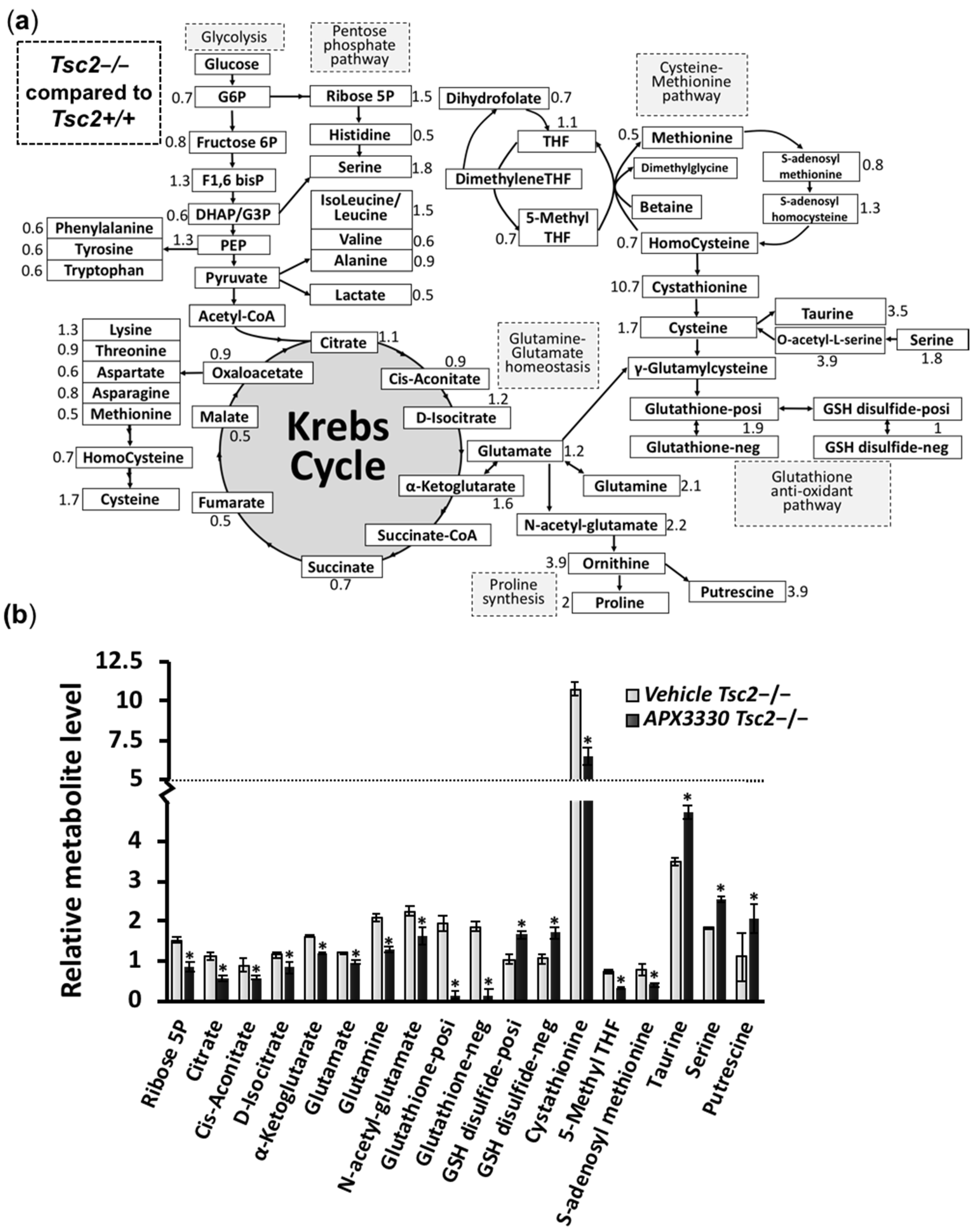 Cancers 14 06195 g005 Cancers 14 06195 g005