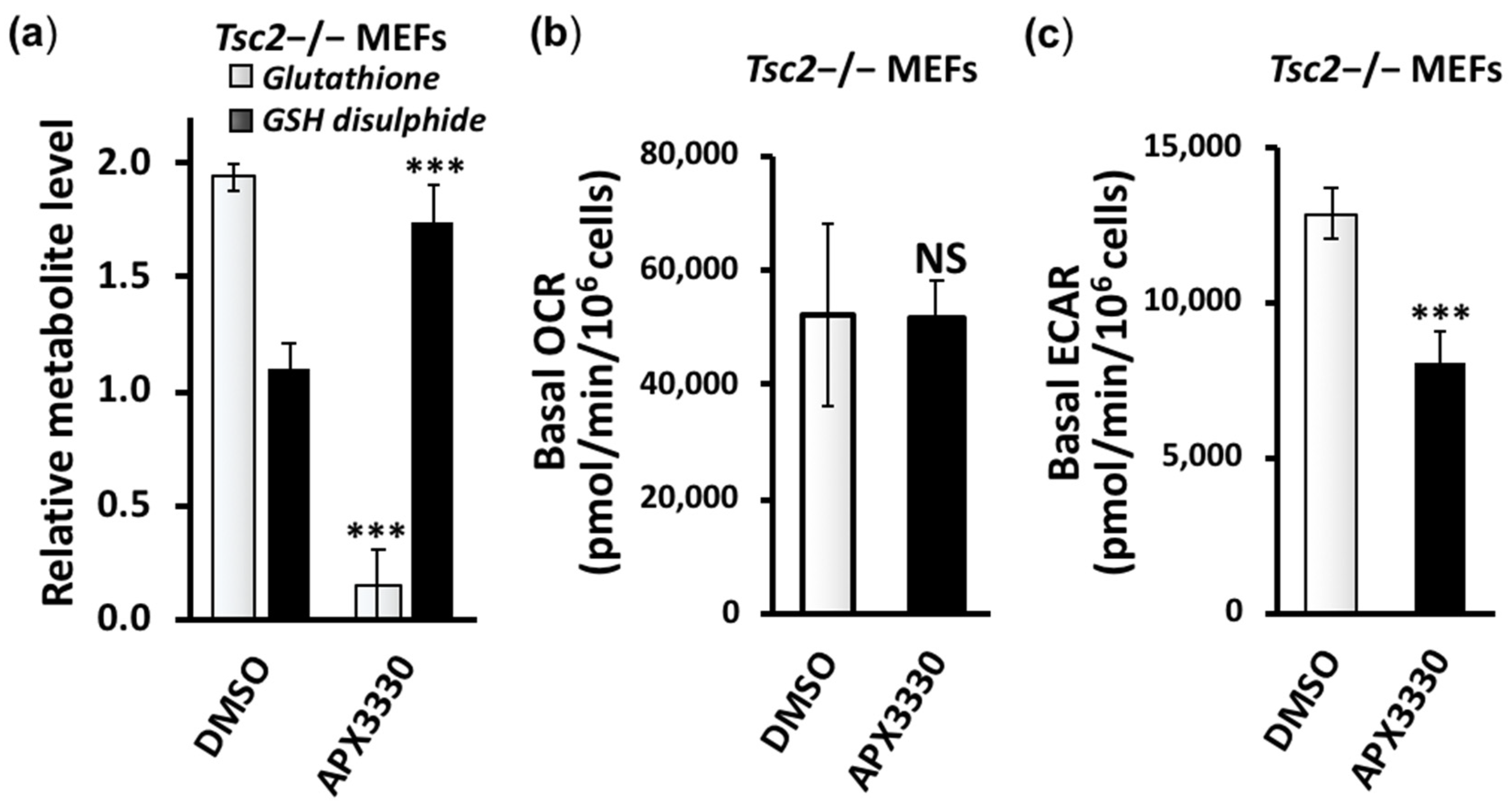 Cancers 14 06195 g006 Cancers 14 06195 g006