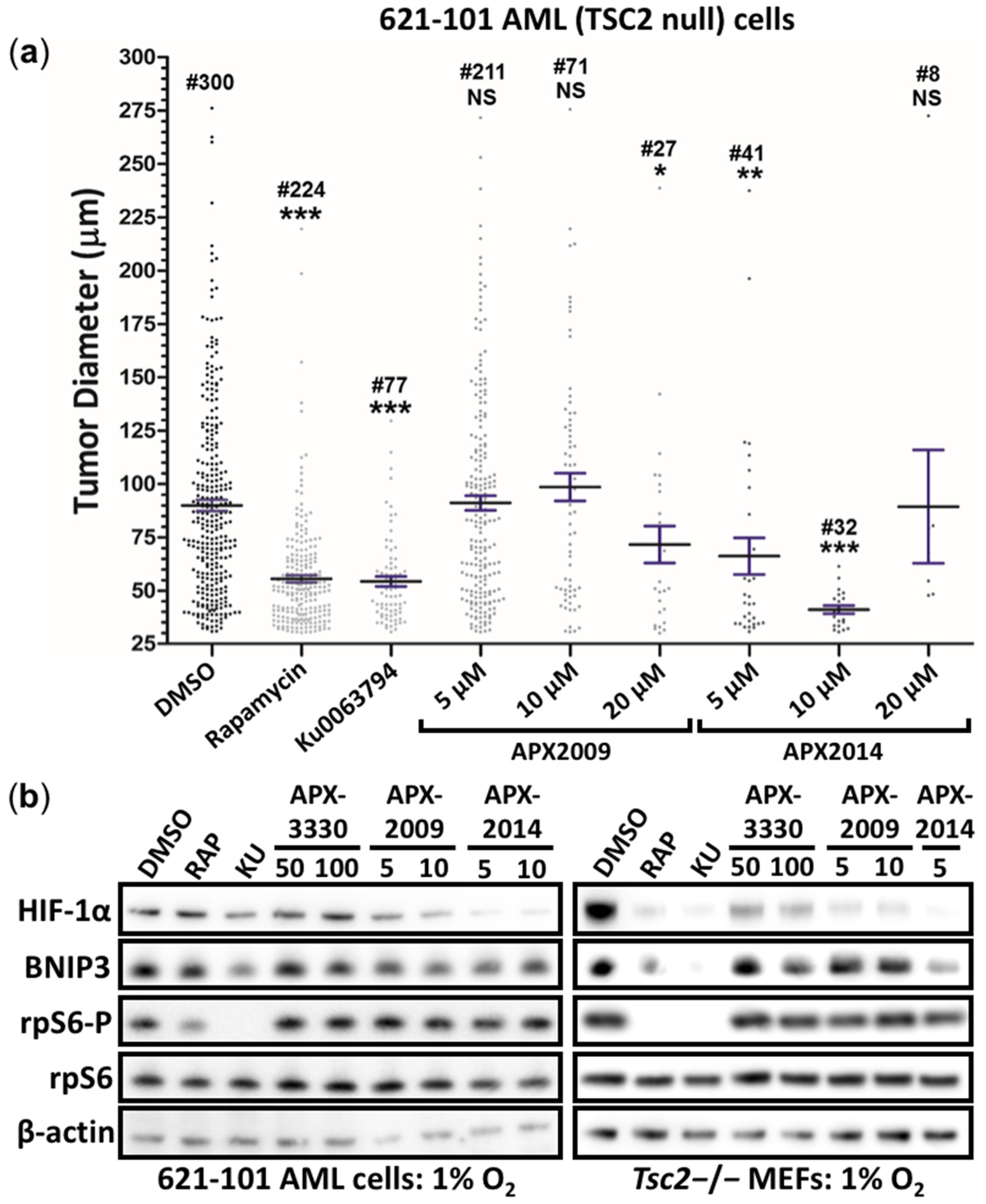 Cancers 14 06195 g008 Cancers 14 06195 g008