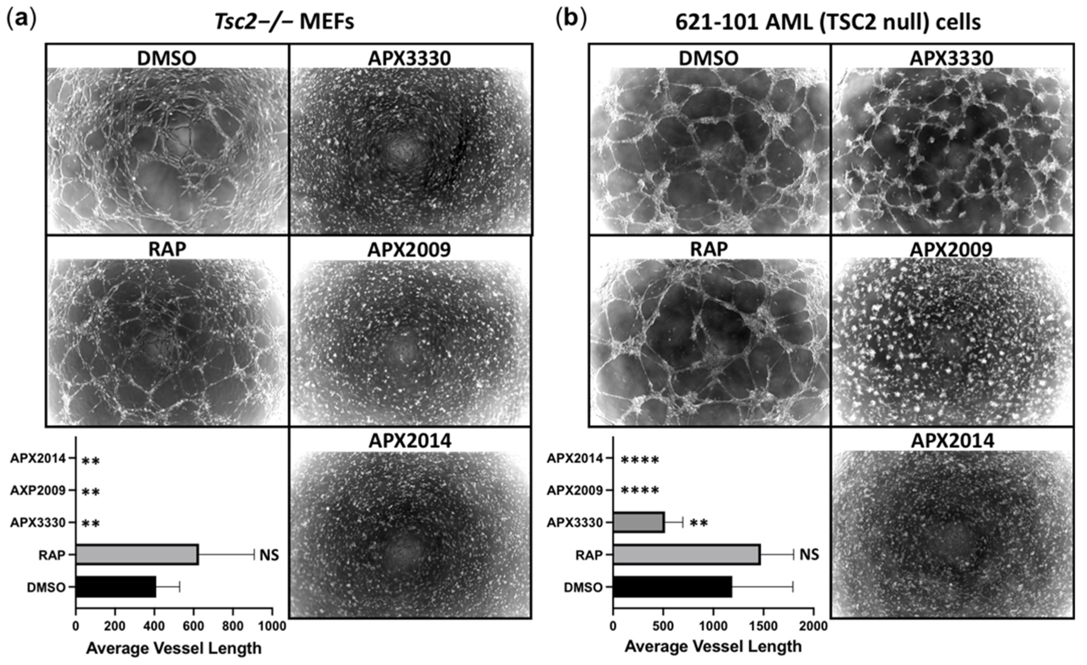 Cancers 14 06195 g009 Cancers 14 06195 g009
