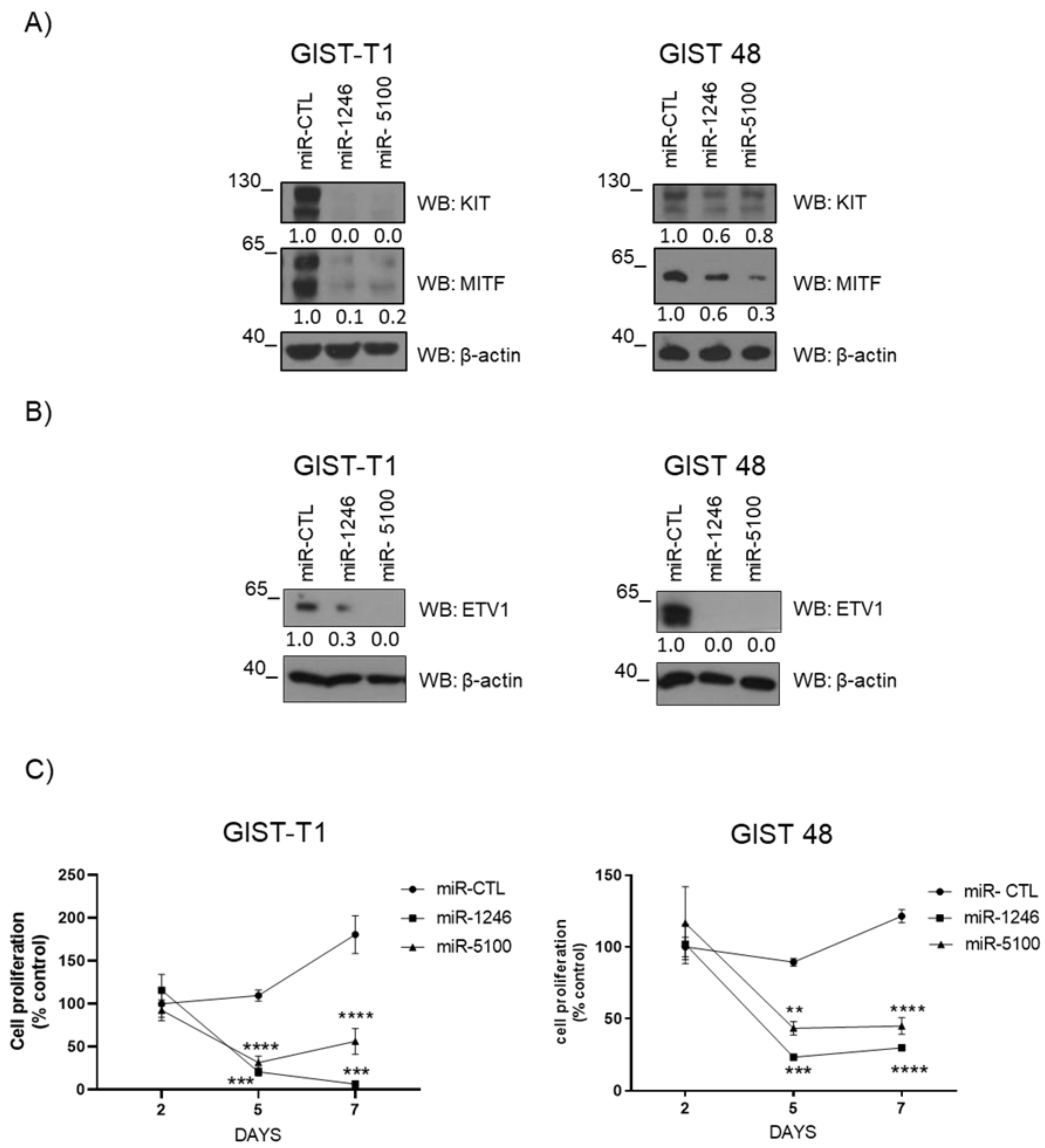 Cancers 14 06198 g004 Cancers 14 06198 g004