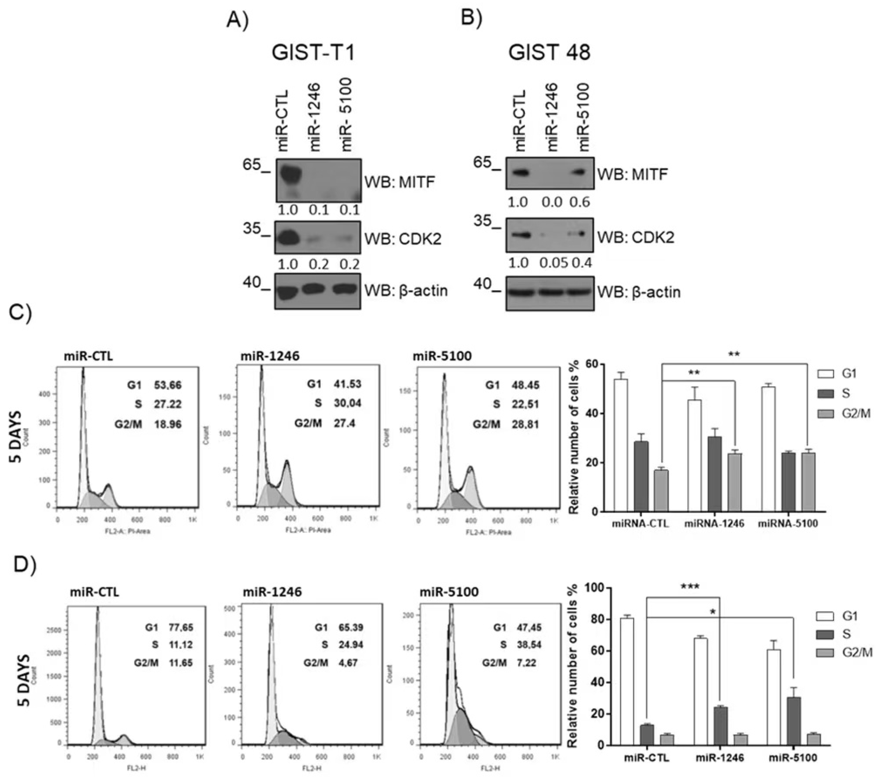 Cancers 14 06198 g006 Cancers 14 06198 g006