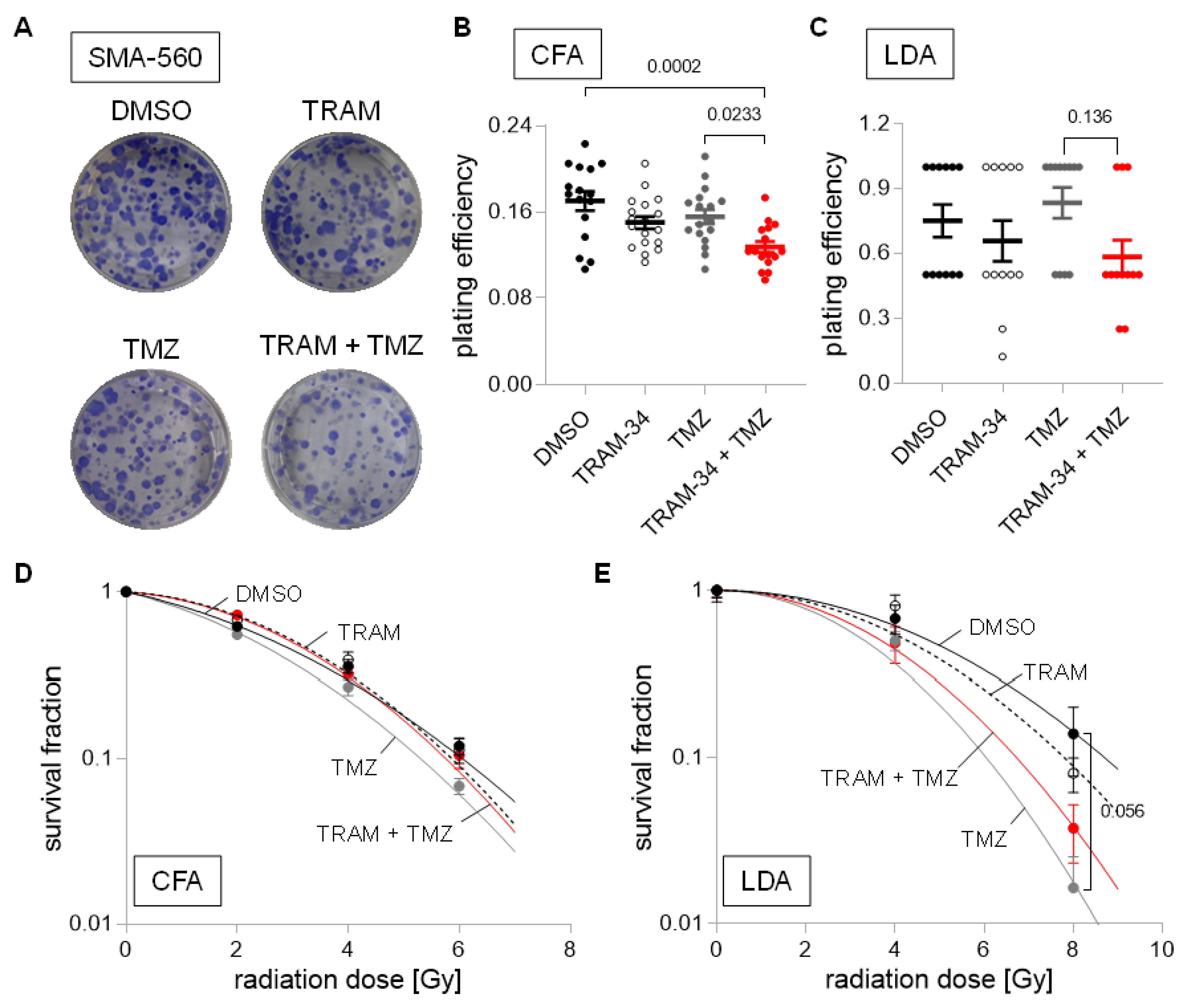 Cancers 14 06199 g005 Cancers 14 06199 g005