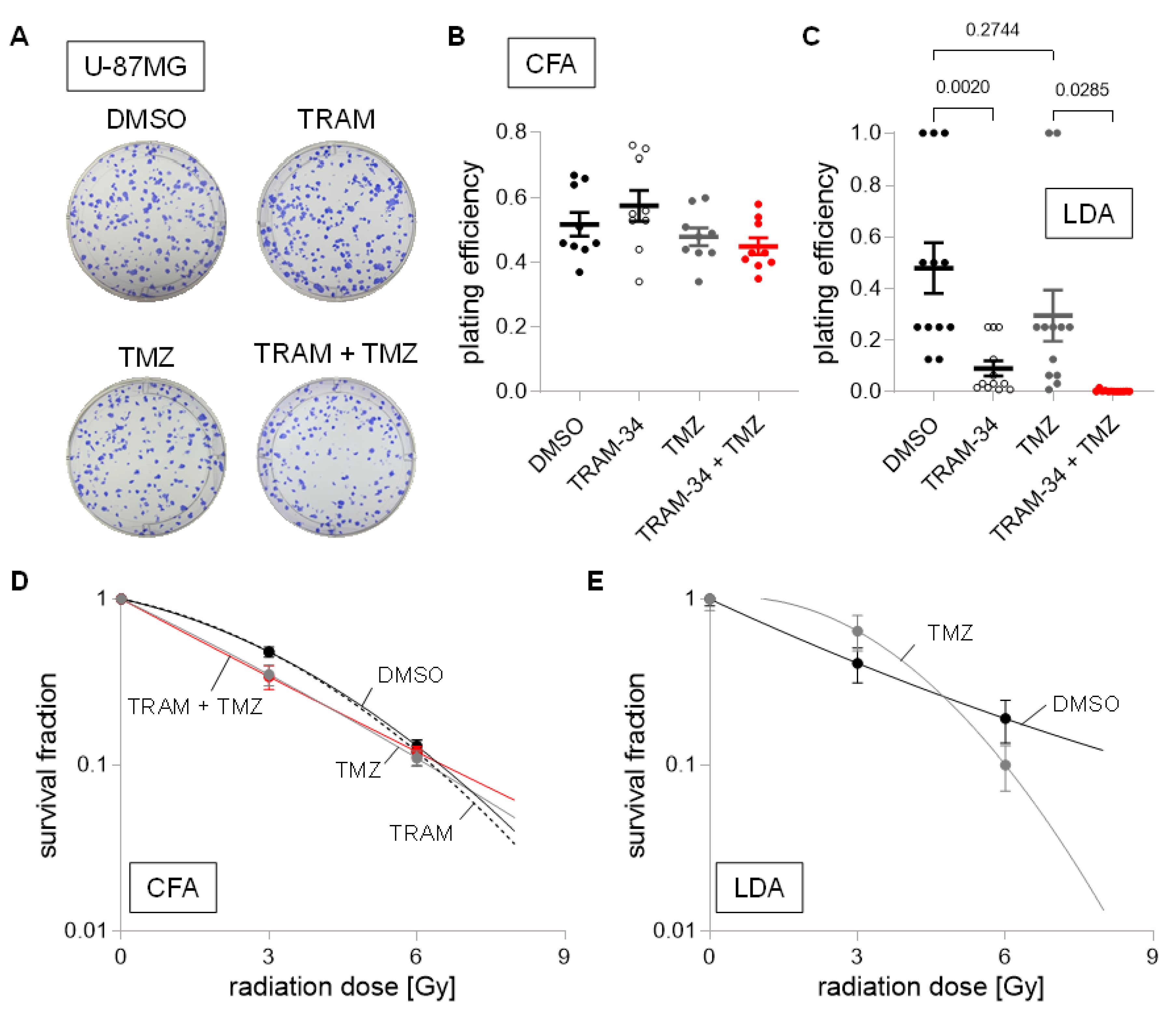 Cancers 14 06199 g008 Cancers 14 06199 g008