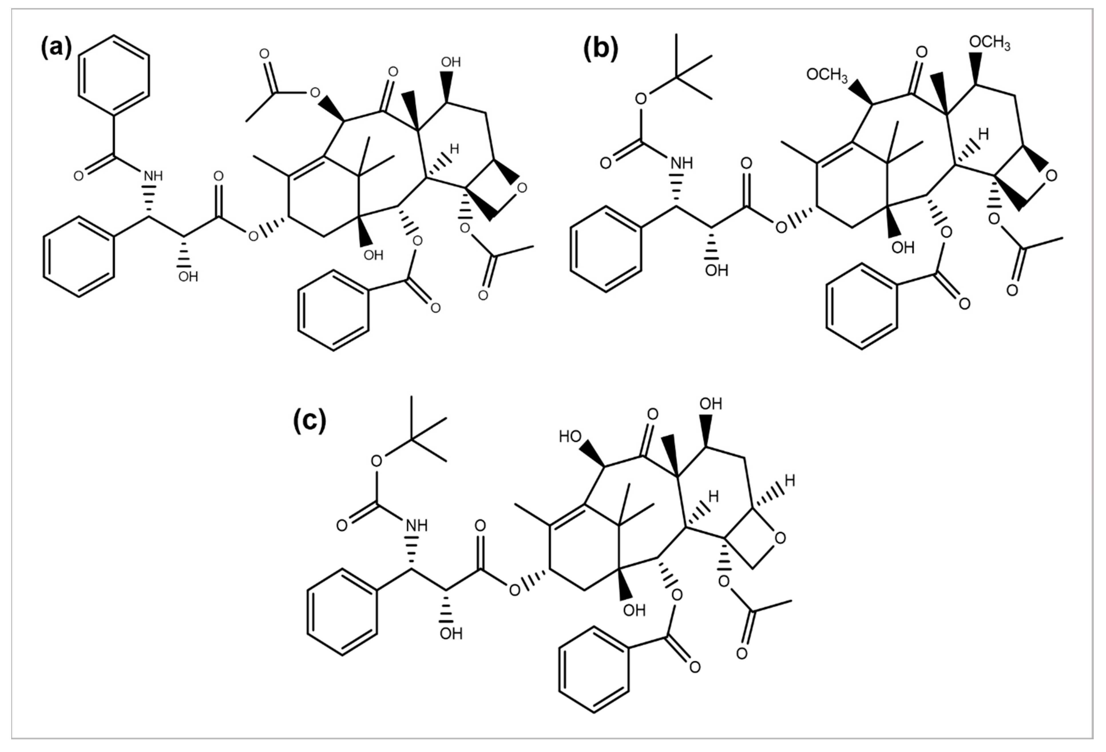 Cancers 14 06203 g005