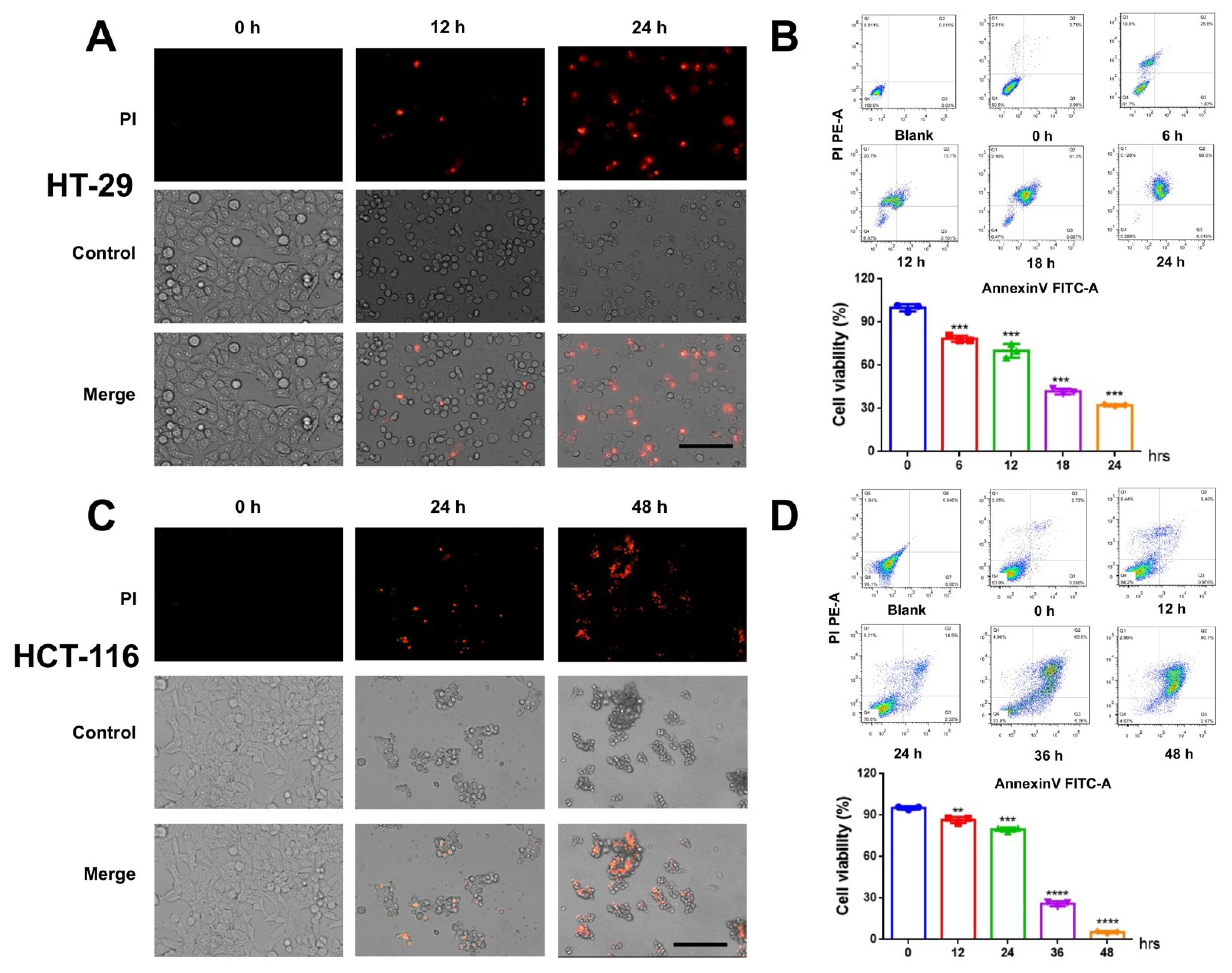 Cancers 14 06206 g001 Cancers 14 06206 g001