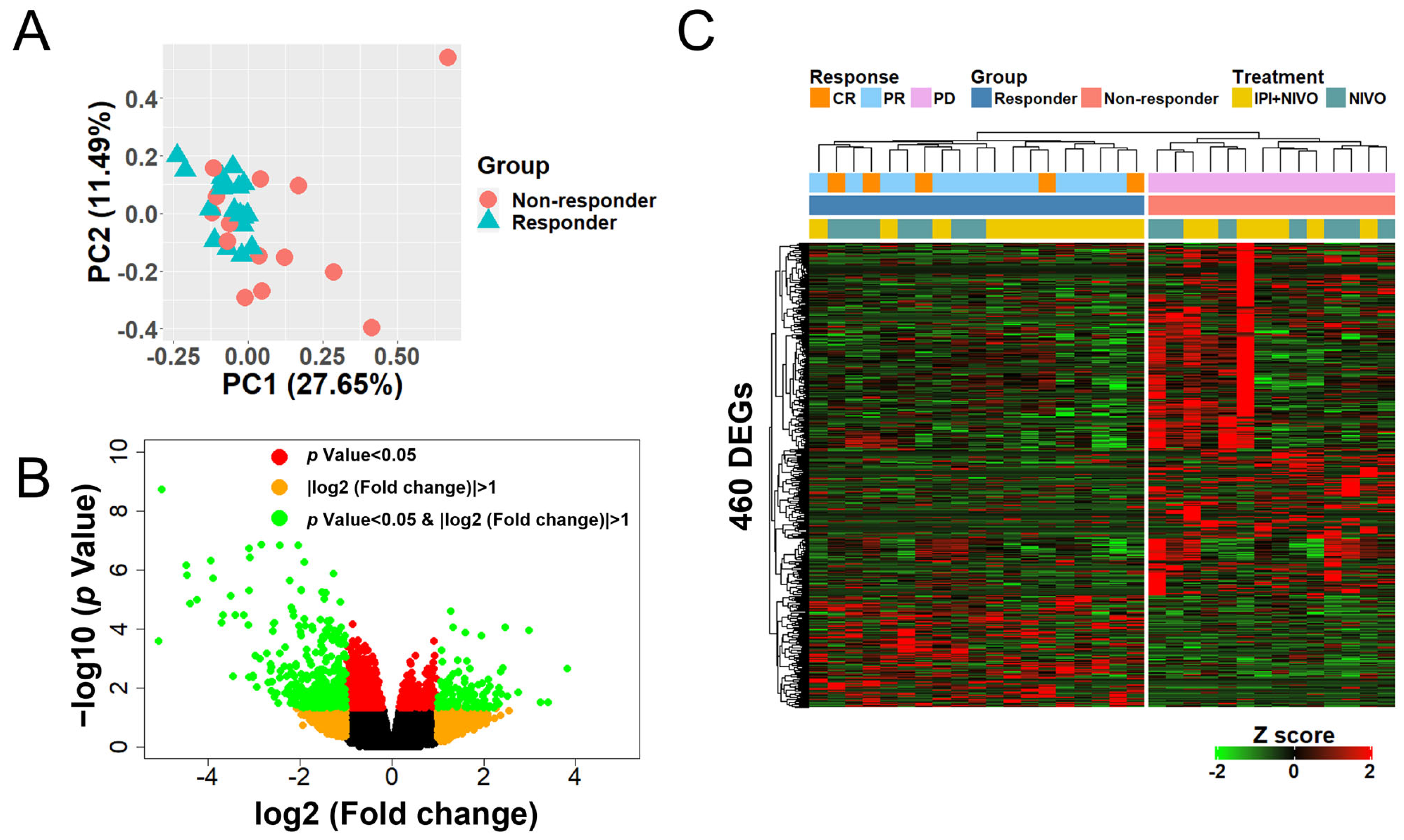 Cancers 14 06207 g002
