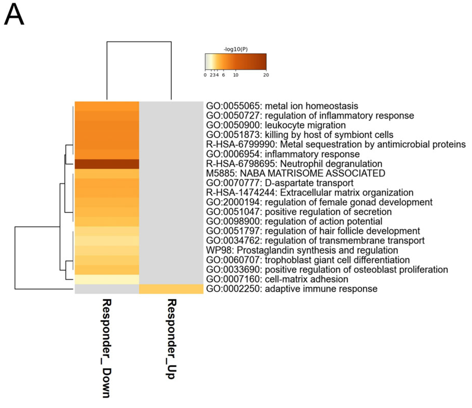 Cancers 14 06207 g003a