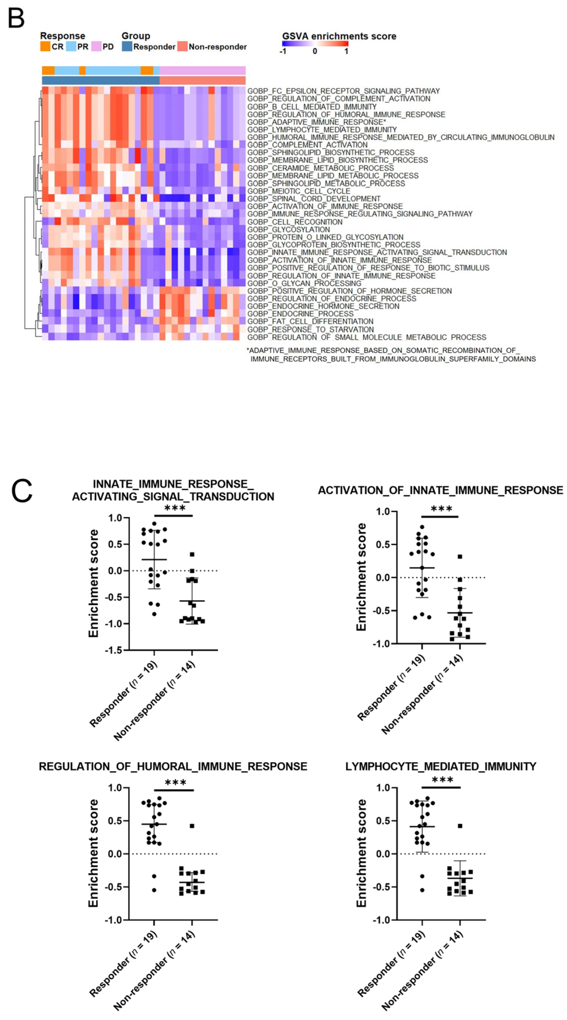 Cancers 14 06207 g003b