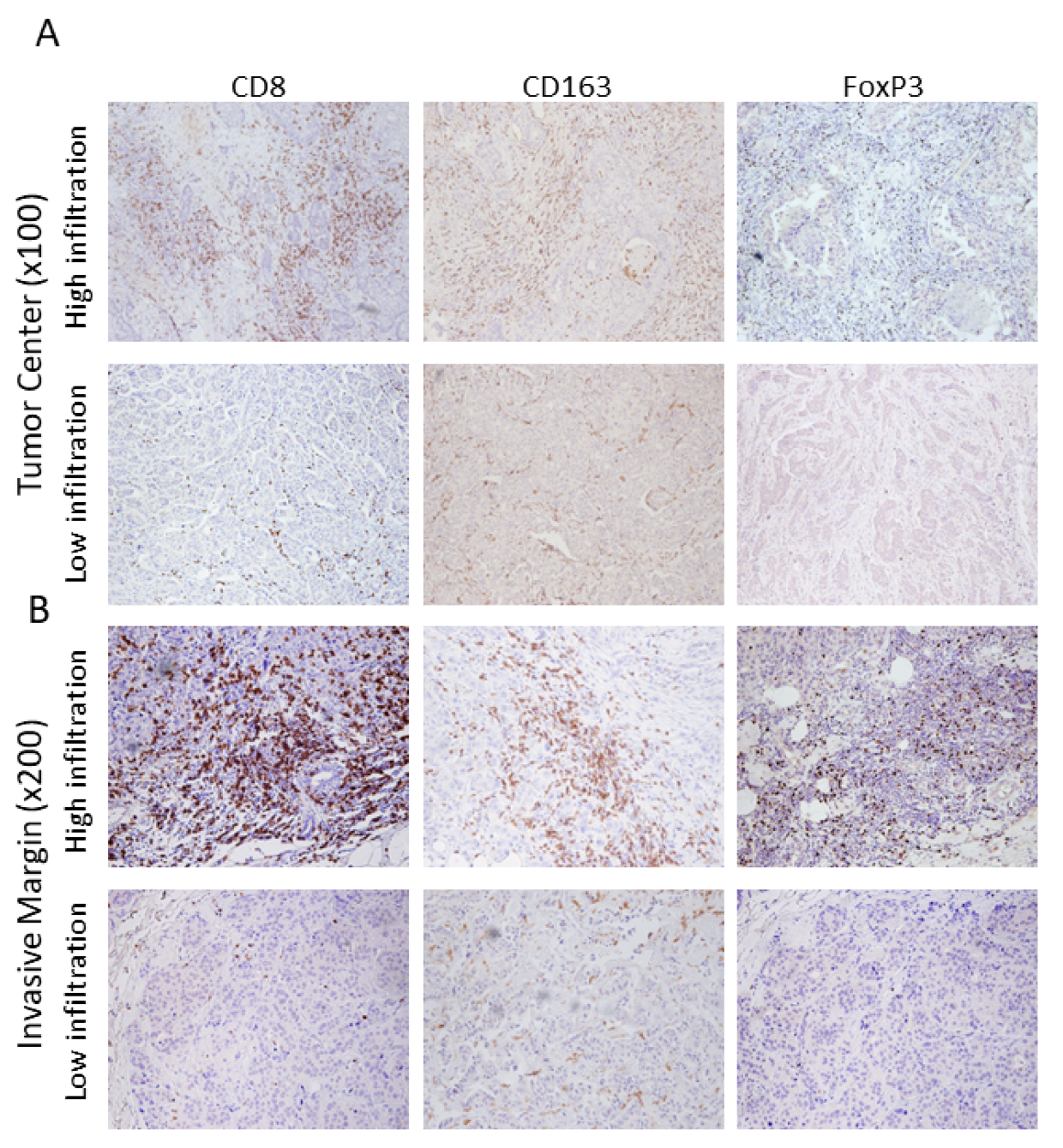 Cancers 14 06208 g001 Cancers 14 06208 g001