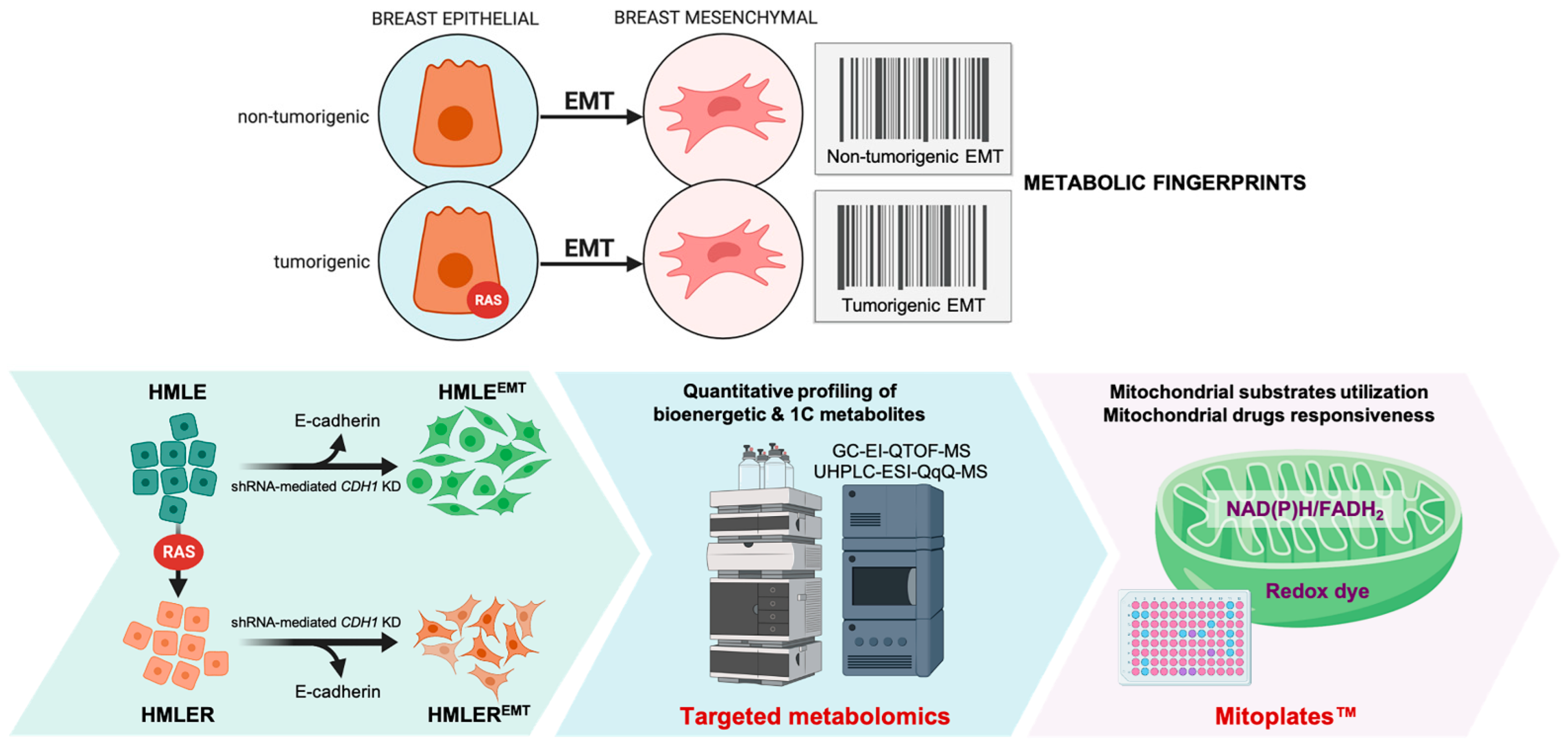 Cancers 14 06214 g001 Cancers 14 06214 g001