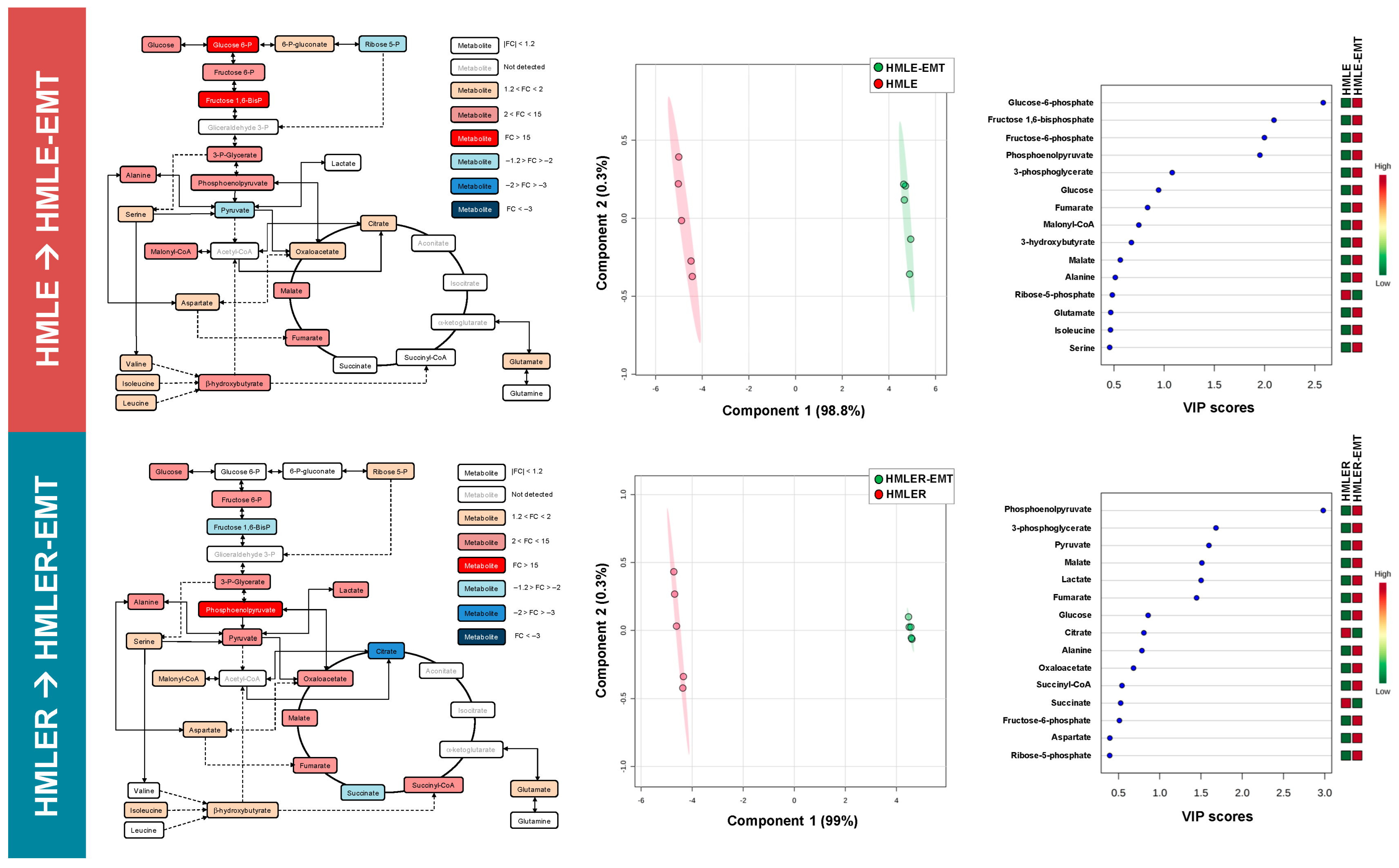Cancers 14 06214 g003 Cancers 14 06214 g003